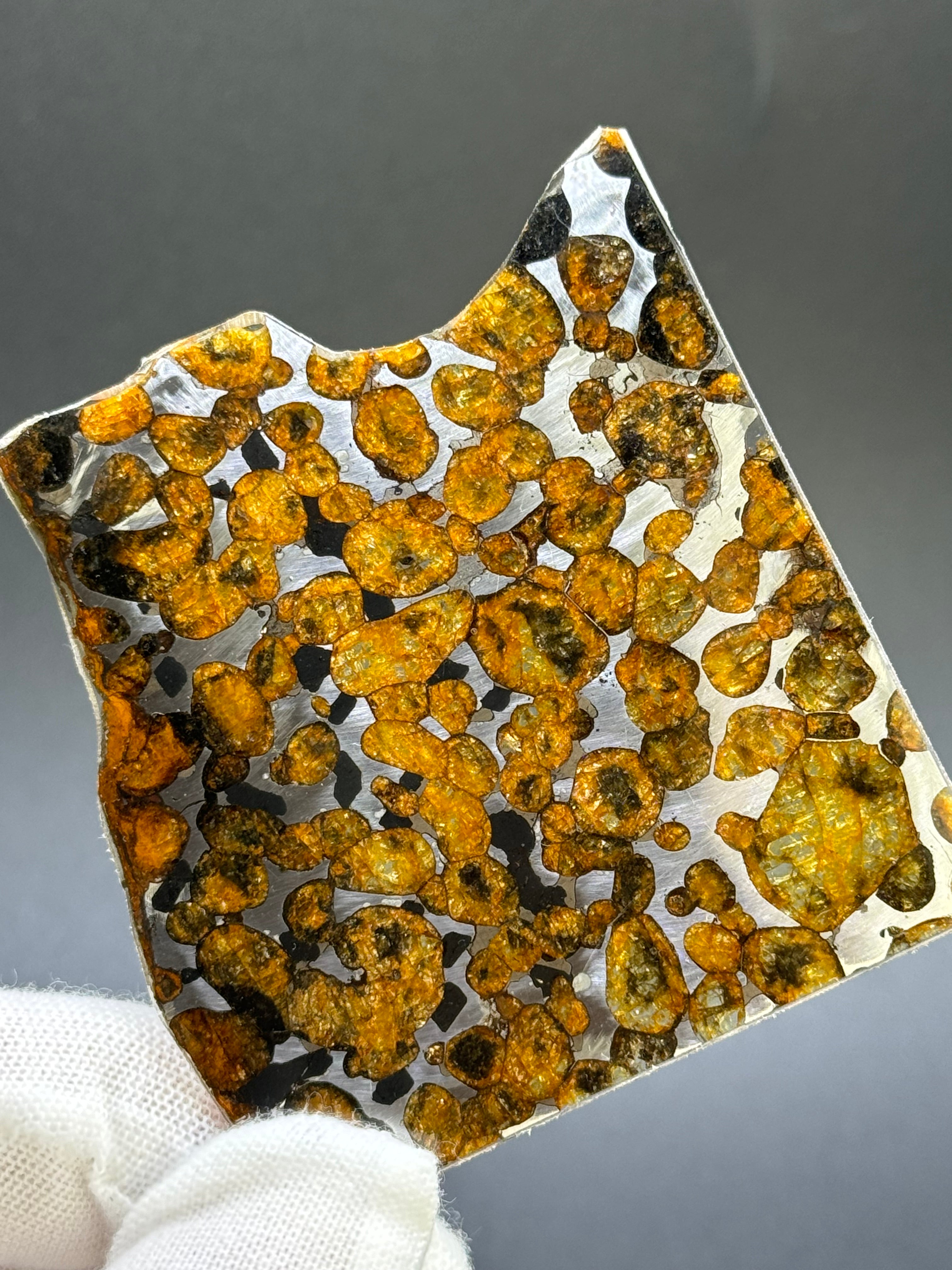 SERICHO METEORITE, KENYA. 19 GRAMS SLICE