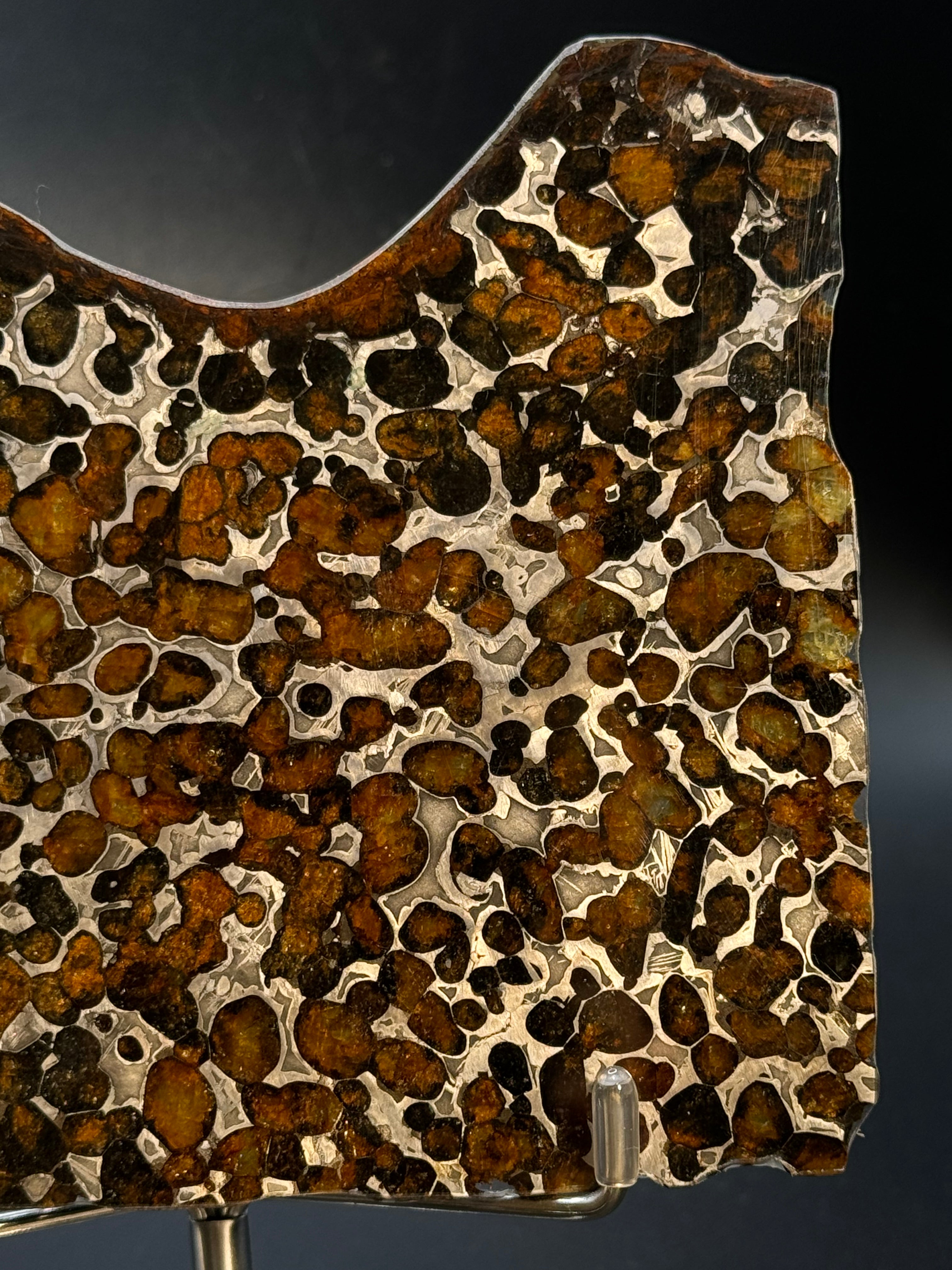 SERICHO METEORITE, KENYA. 81 GRAMS SLICE