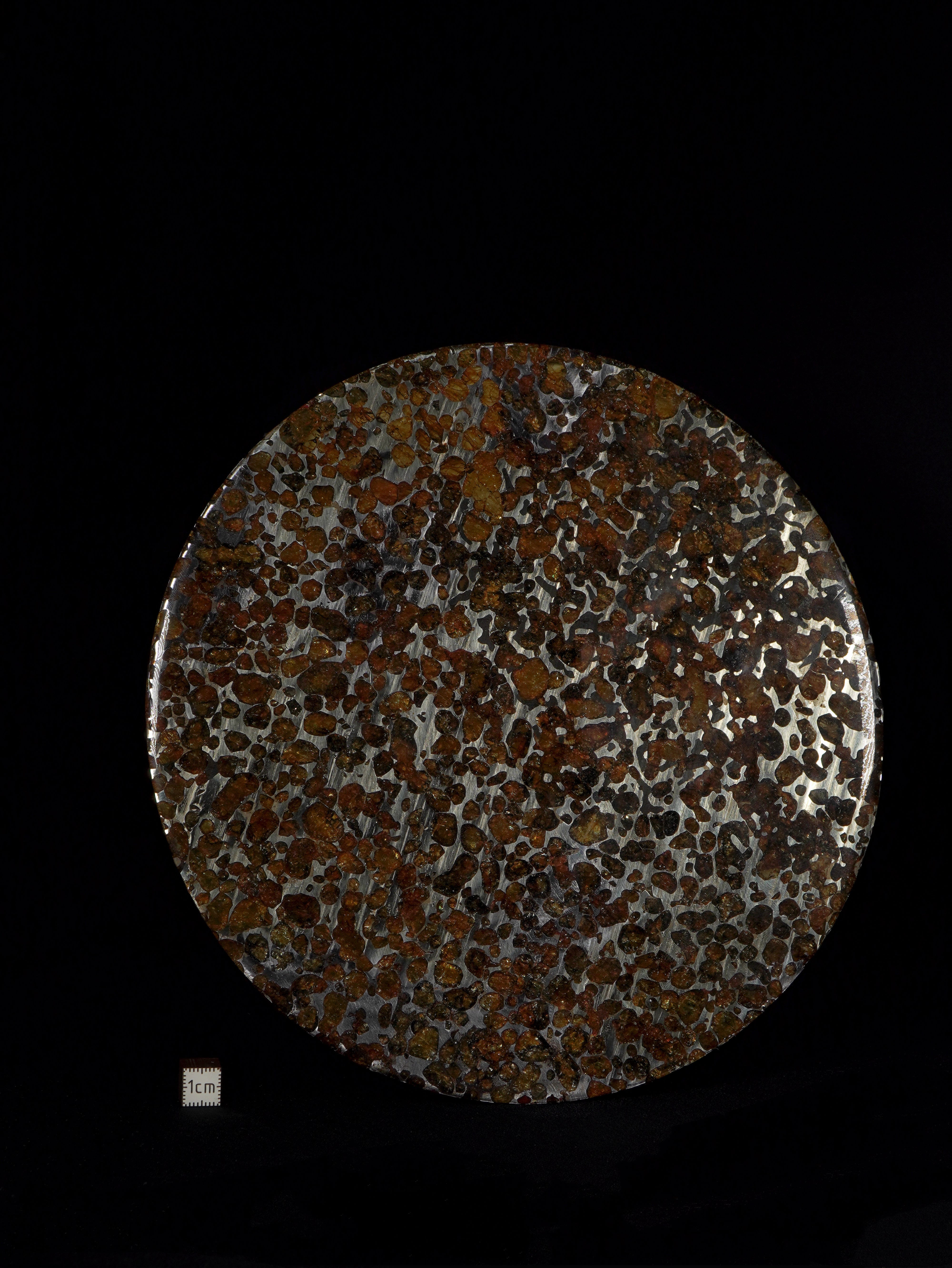 SERICHO PALLASITE METEORITE, KENYA. 286 GRAMS — PERFECTLY ROUND SLICE