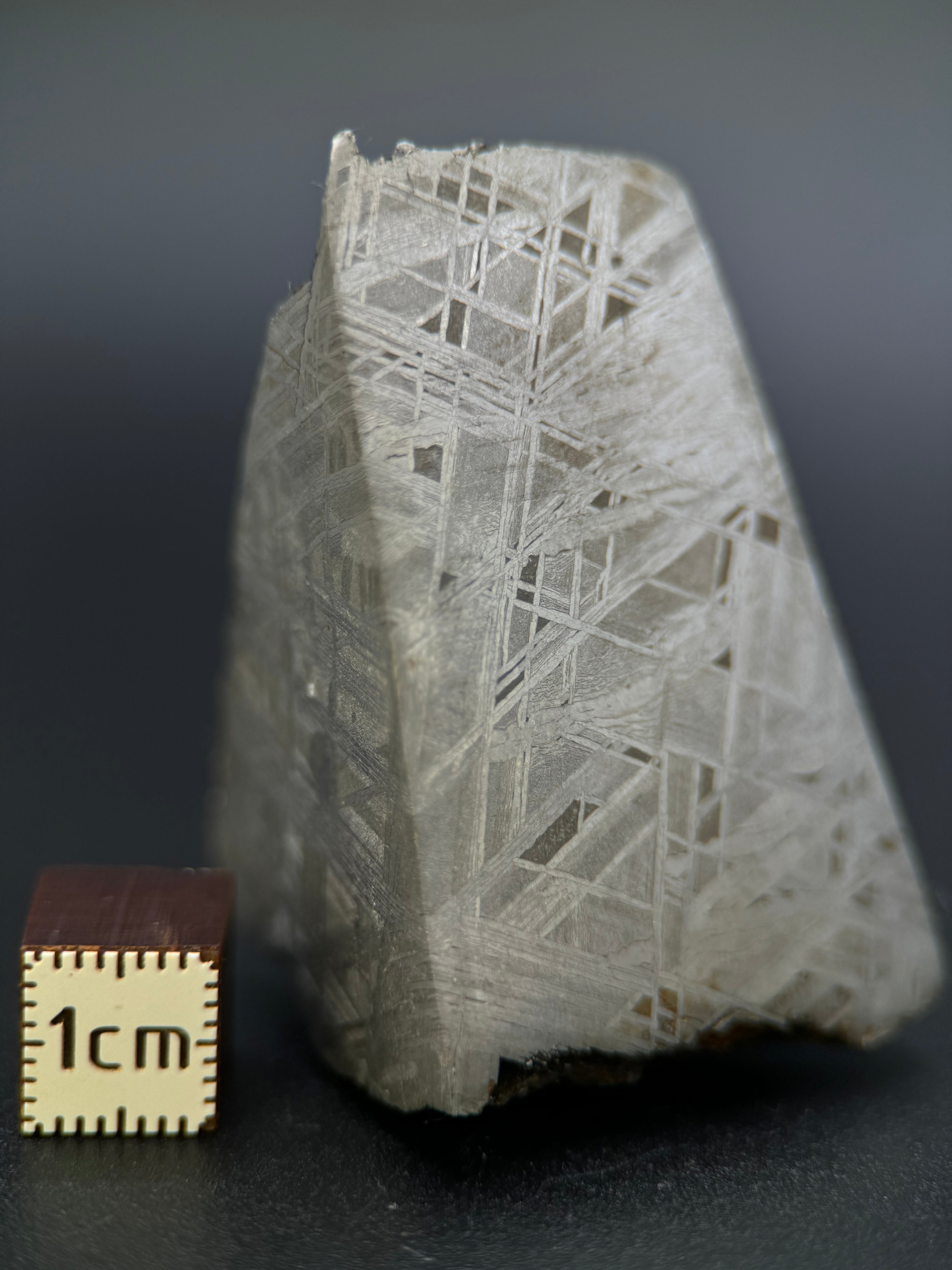 MUONIONALUSTA METEORITE, SWEDEN. 141,05 GRAMS END-CUT