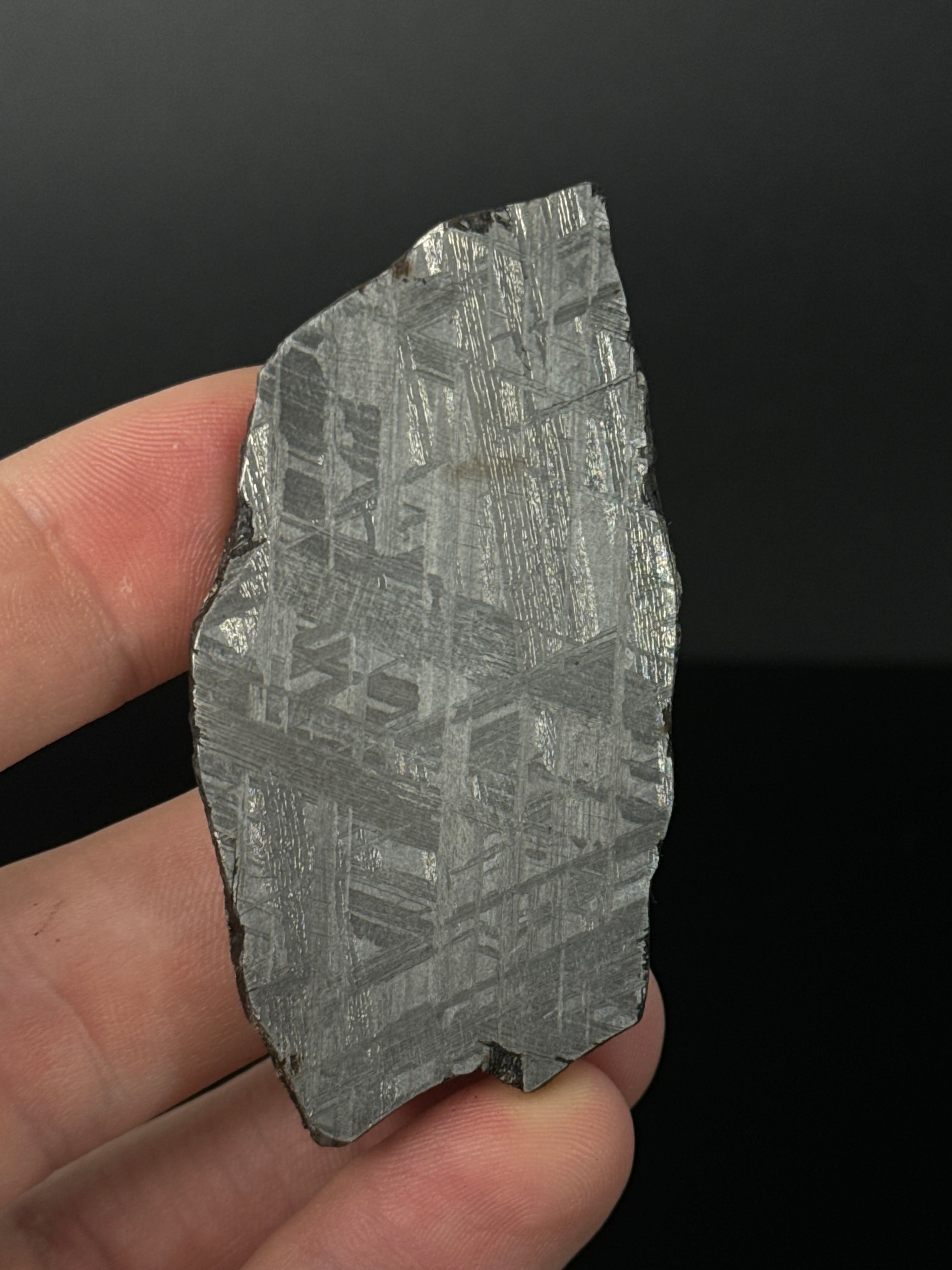 MUONIONALUSTA METEORITE, SWEDEN 49,32 GRAMS.