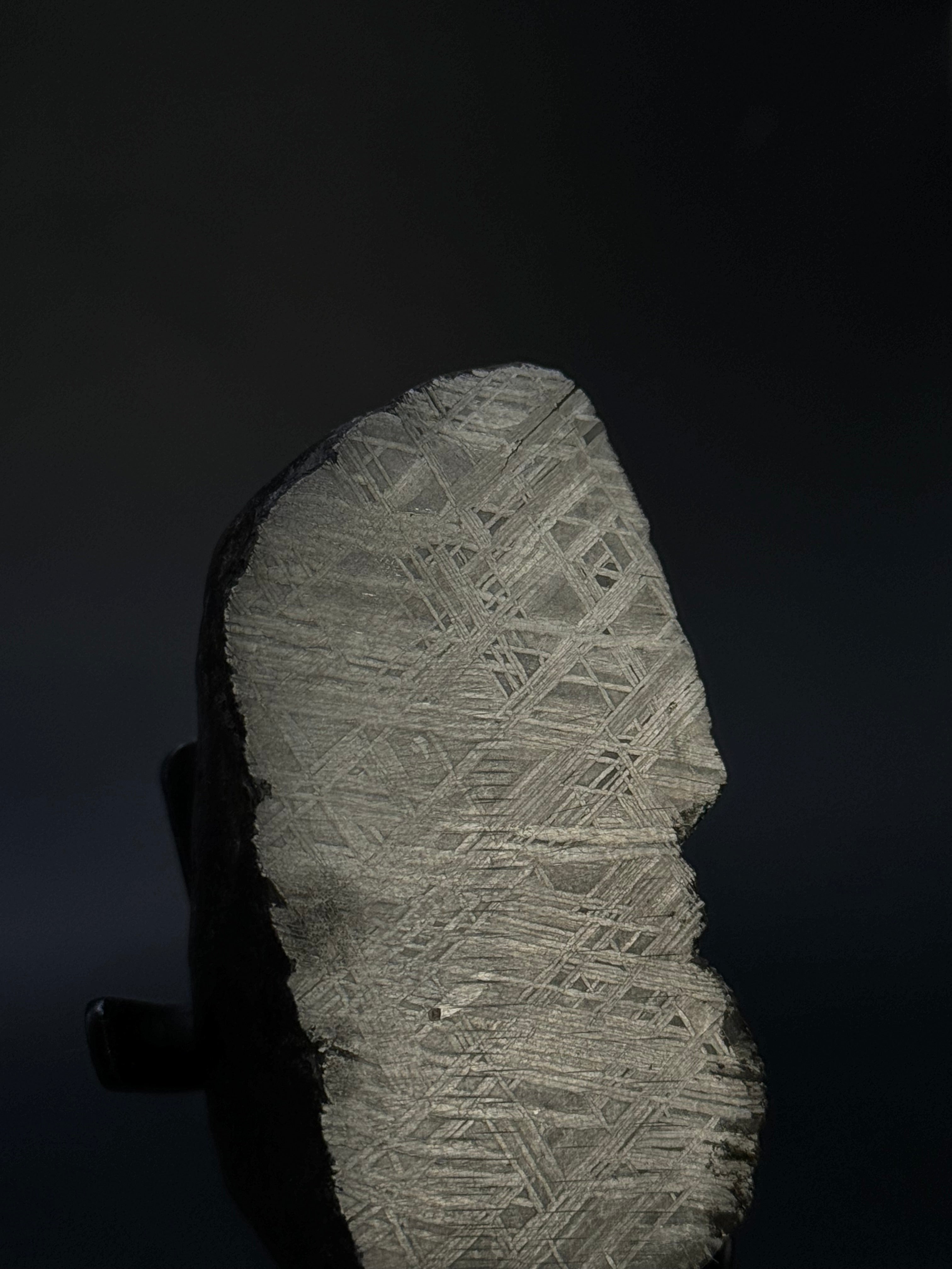MUONIONALUSTA METEORITE, SWEDEN. 180 GRAMS END-CUT.