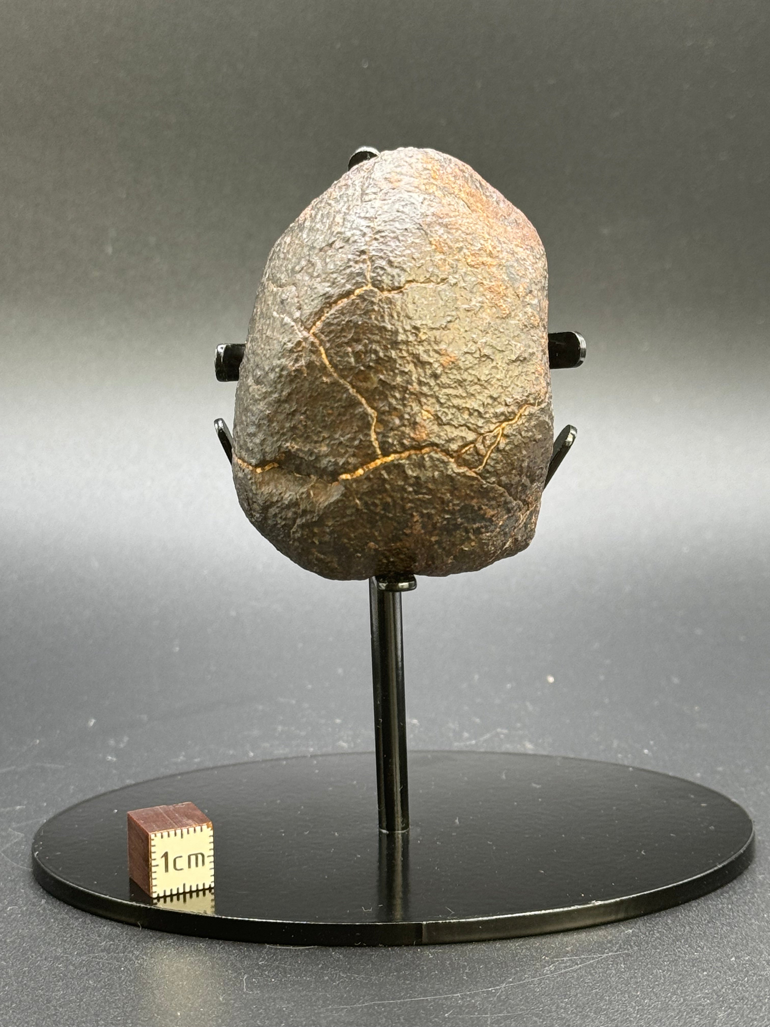 CHONDRITE METEORITE, NORTH WEST AFRICA. 178 GRAMS.