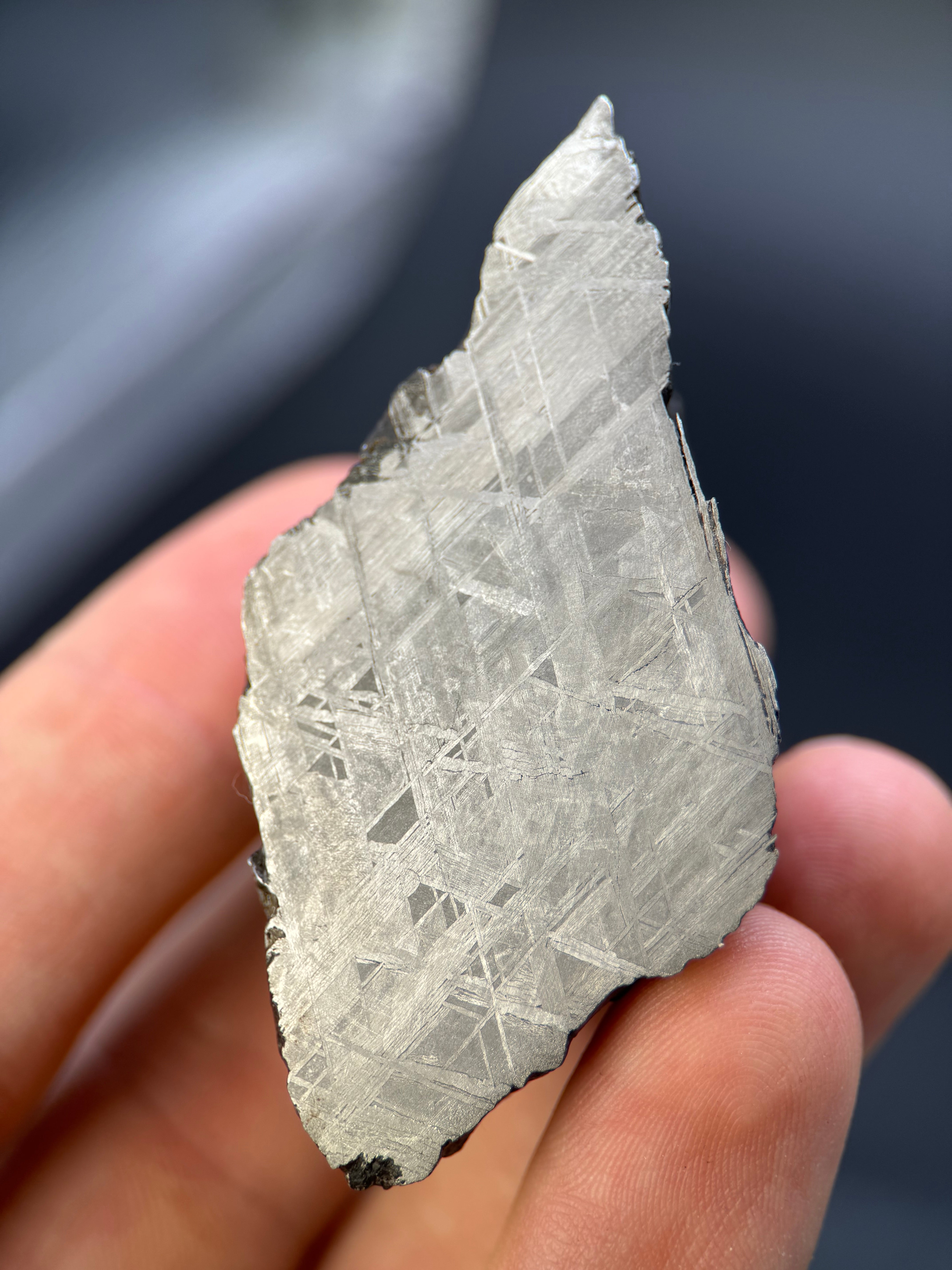 MUONIONALUSTA METEORITE, SWEDEN. 213 GRAMS END-CUT.