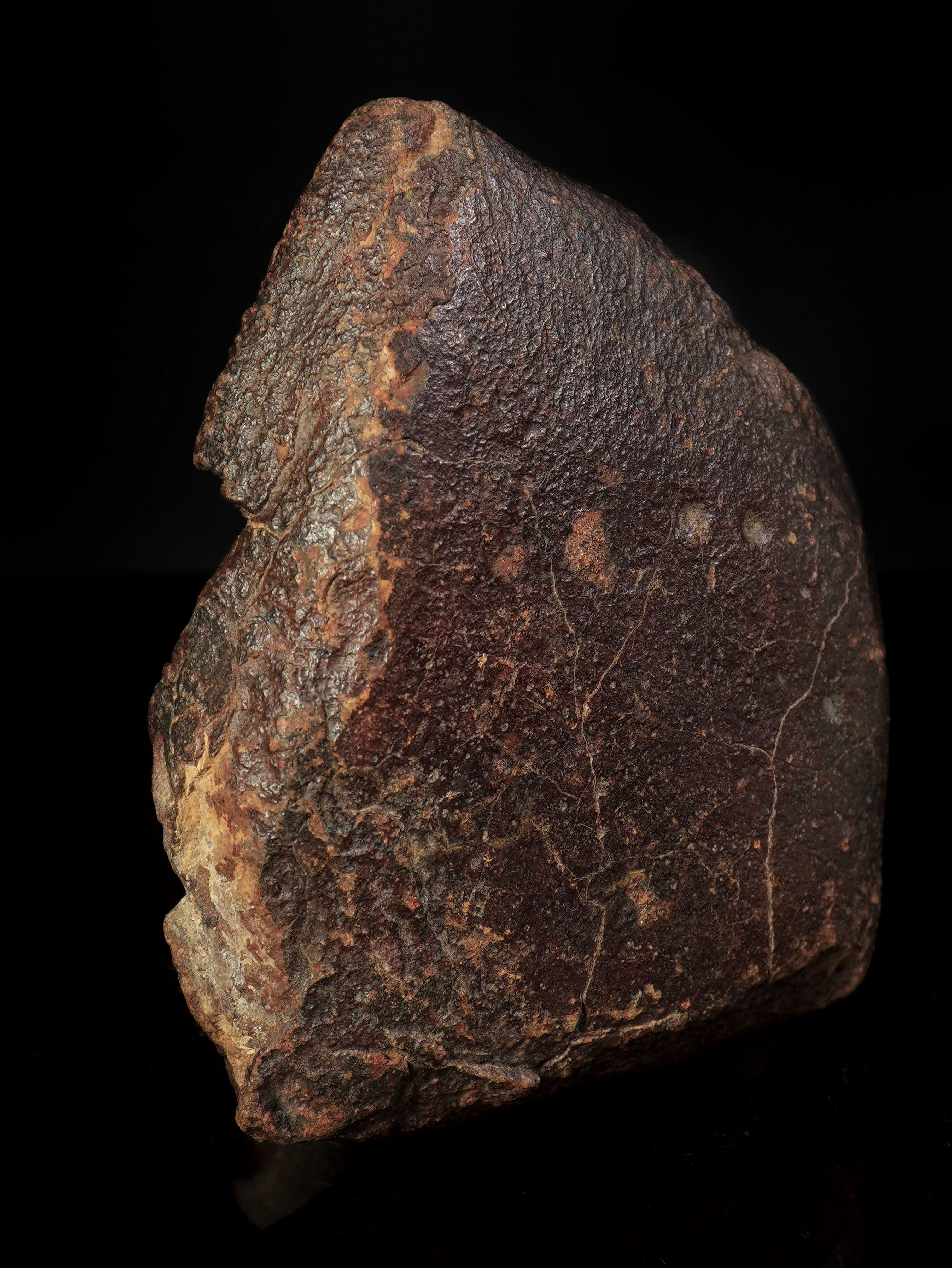CHONDRITE METEORITE, NORTH WEST AFRICA. 232 GRAMS.