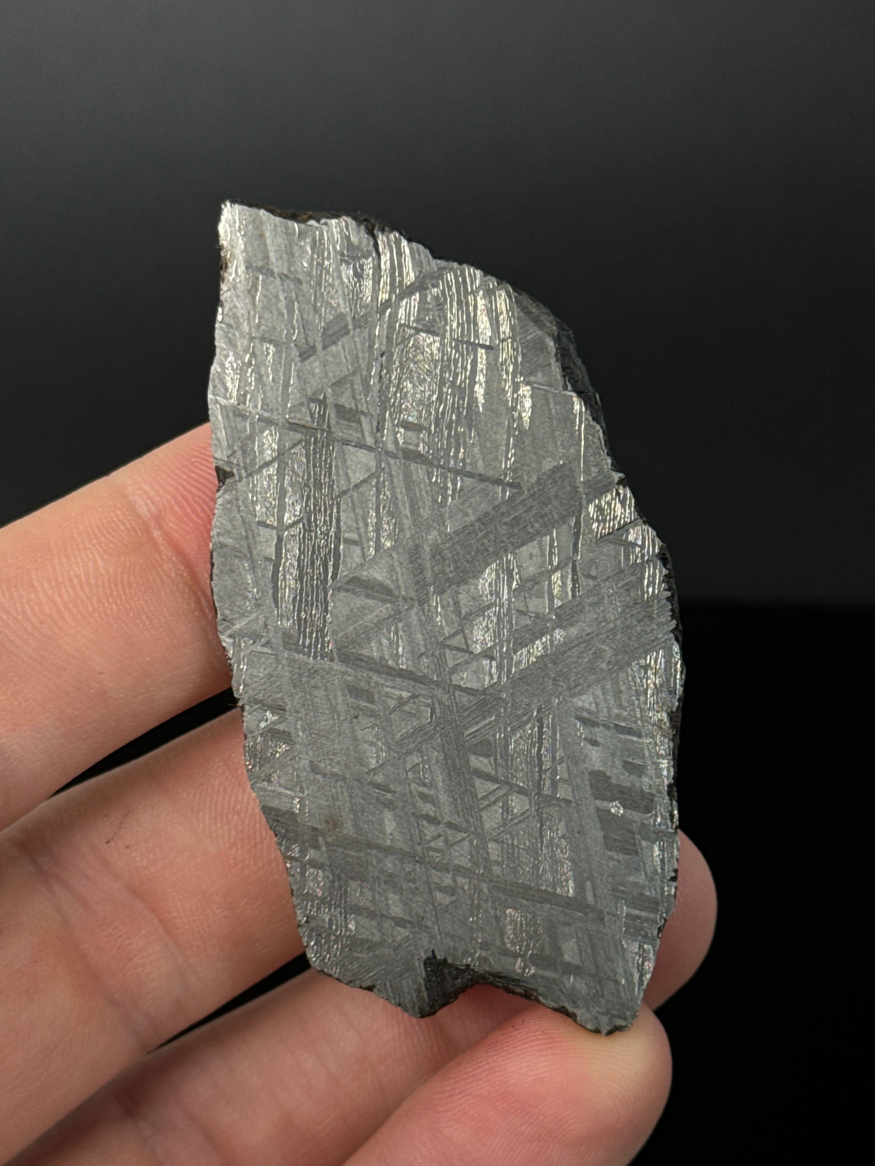 MUONIONALUSTA METEORITE, SWEDEN 49,32 GRAMS.