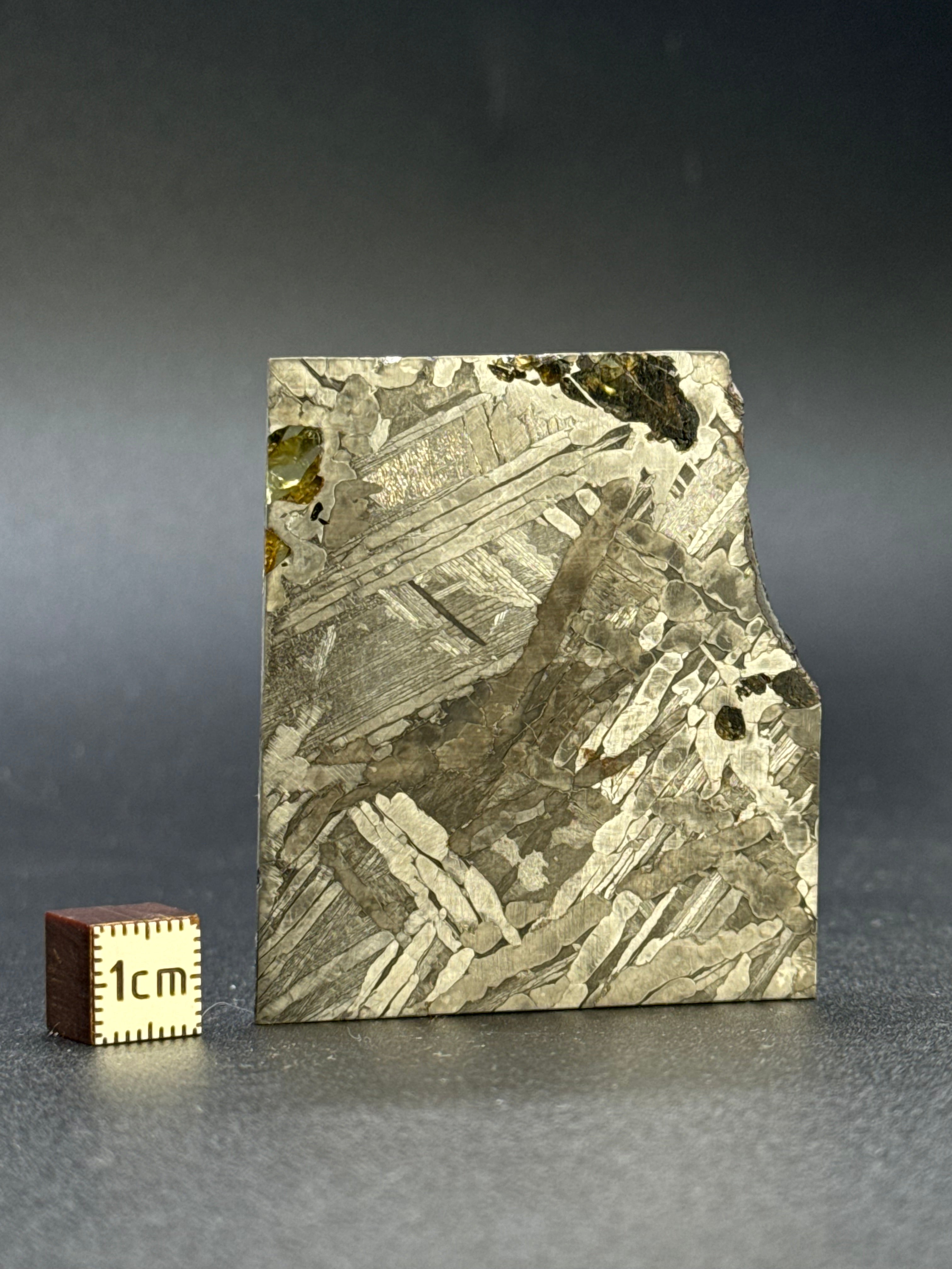 SEYMCHAN METEORITE, MAGADAN REGION, RUSSIA. 37,3 GRAMS.
