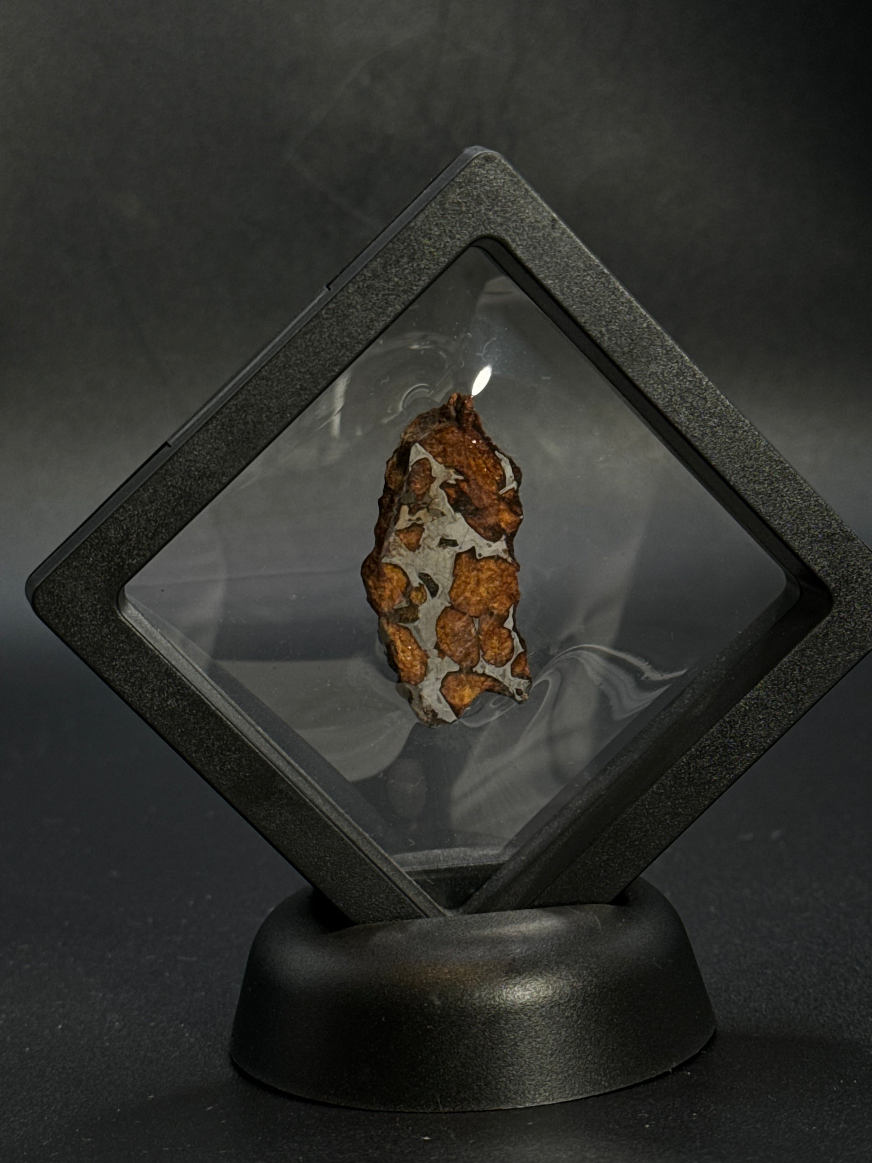 SERICHO PALLASITE METEORITE, KENYA. 7,37 GRAMS END-CUT