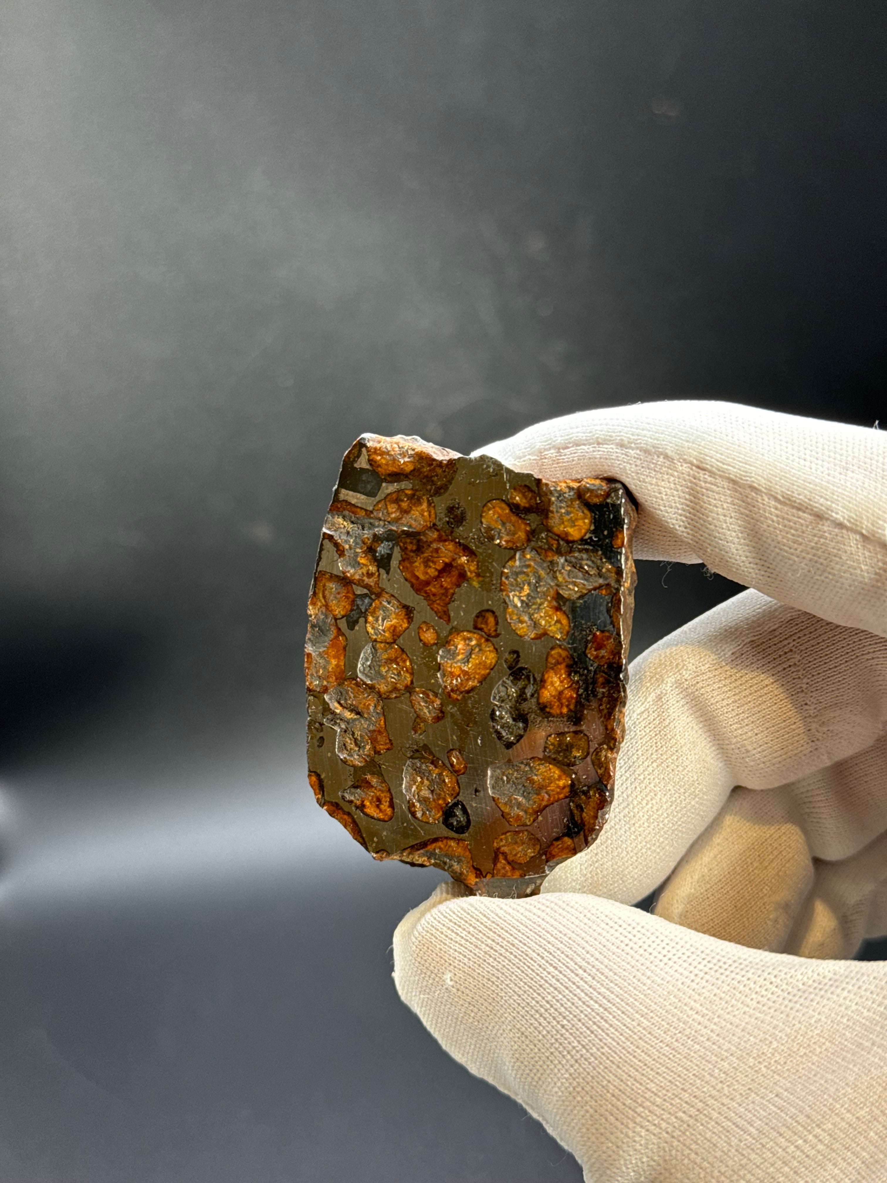 SERICHO PALLASITE METEORITE, KENYA. 92,90 GRAMS END-CUT.