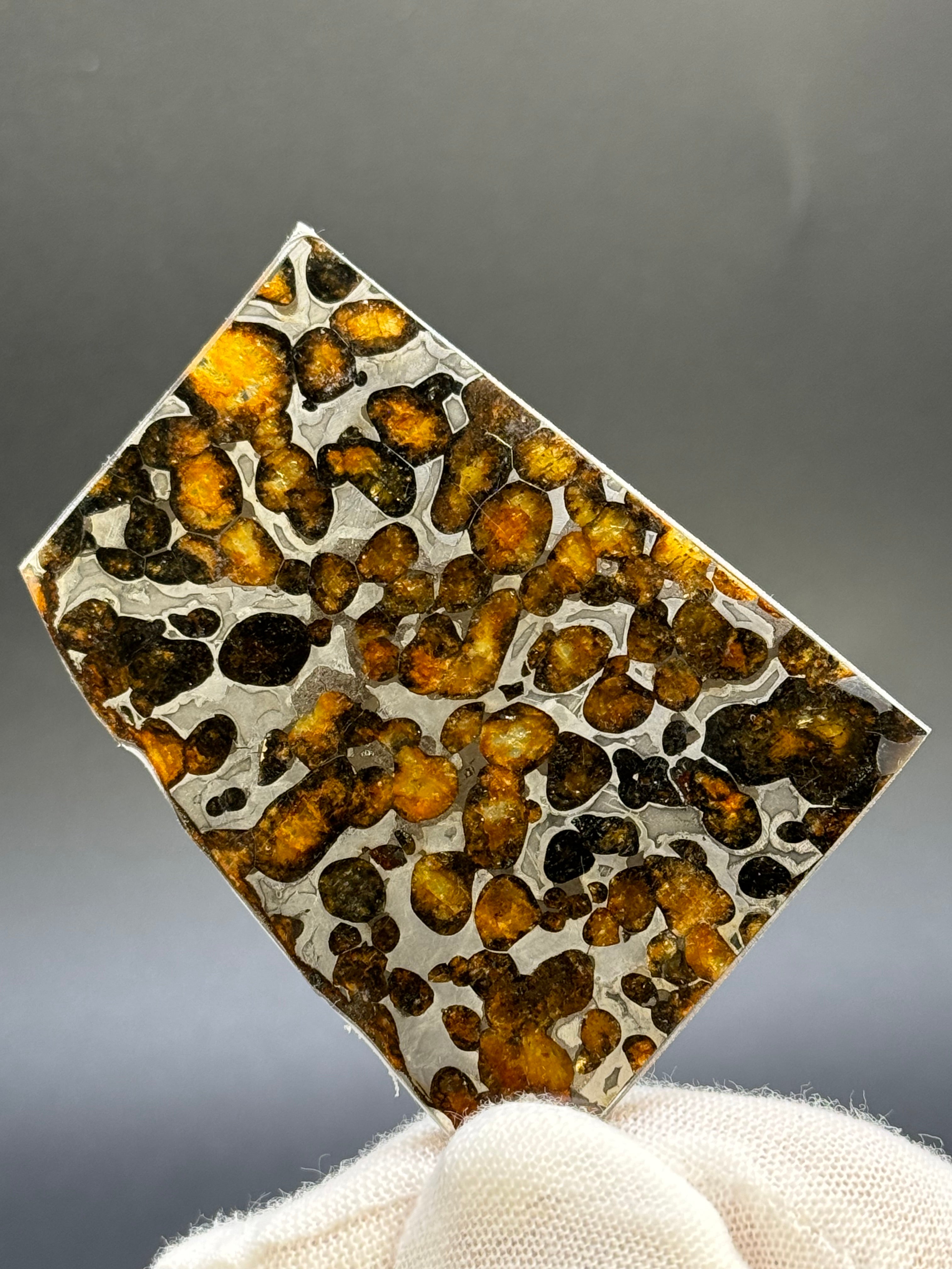SERICHO METEORITE, KENYA. 22,40 GRAMS SLICE.