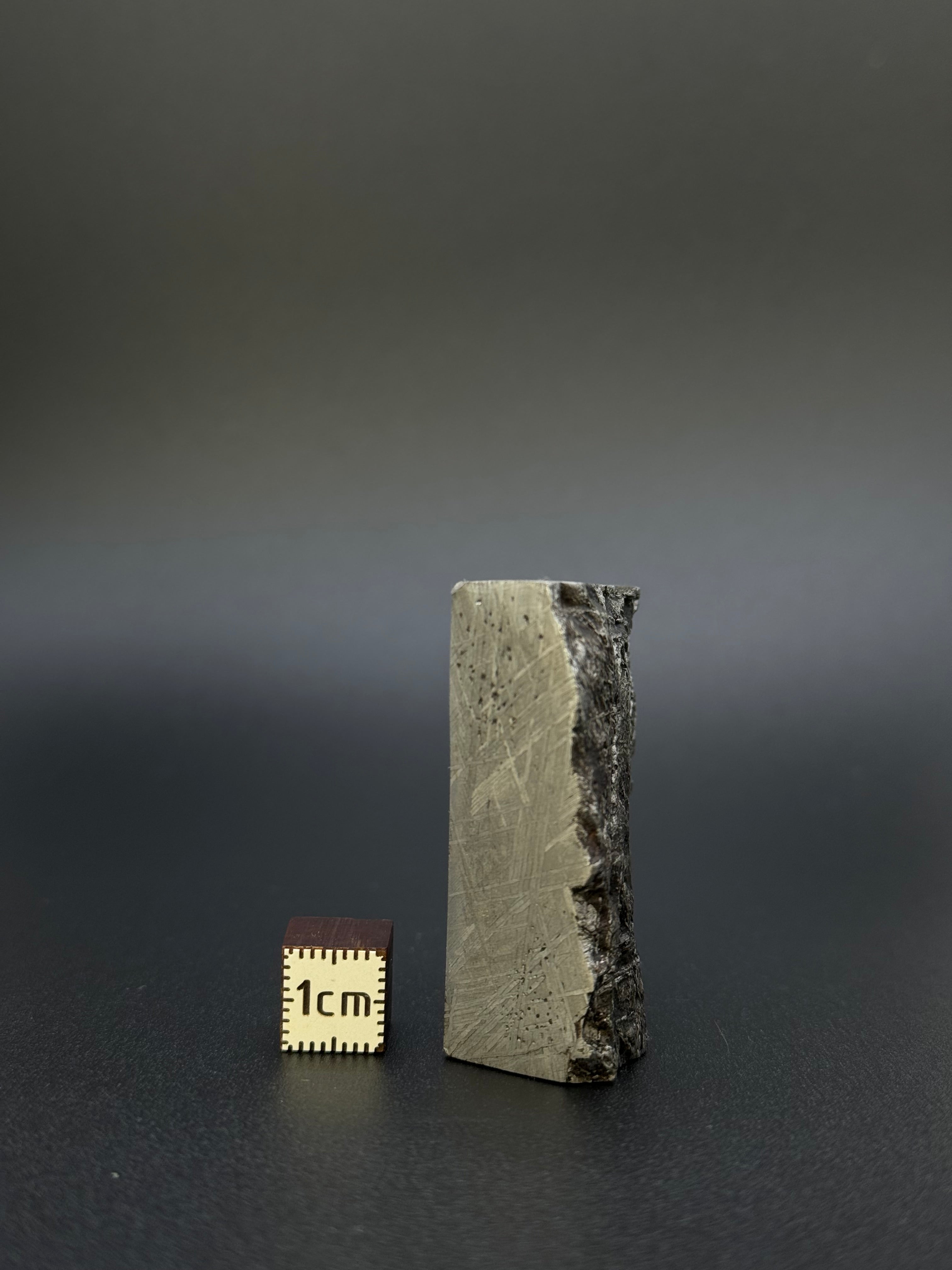 MUONIONALUSTA METEORITE, SWEDEN. 132,8 GRAMS END-CUT.