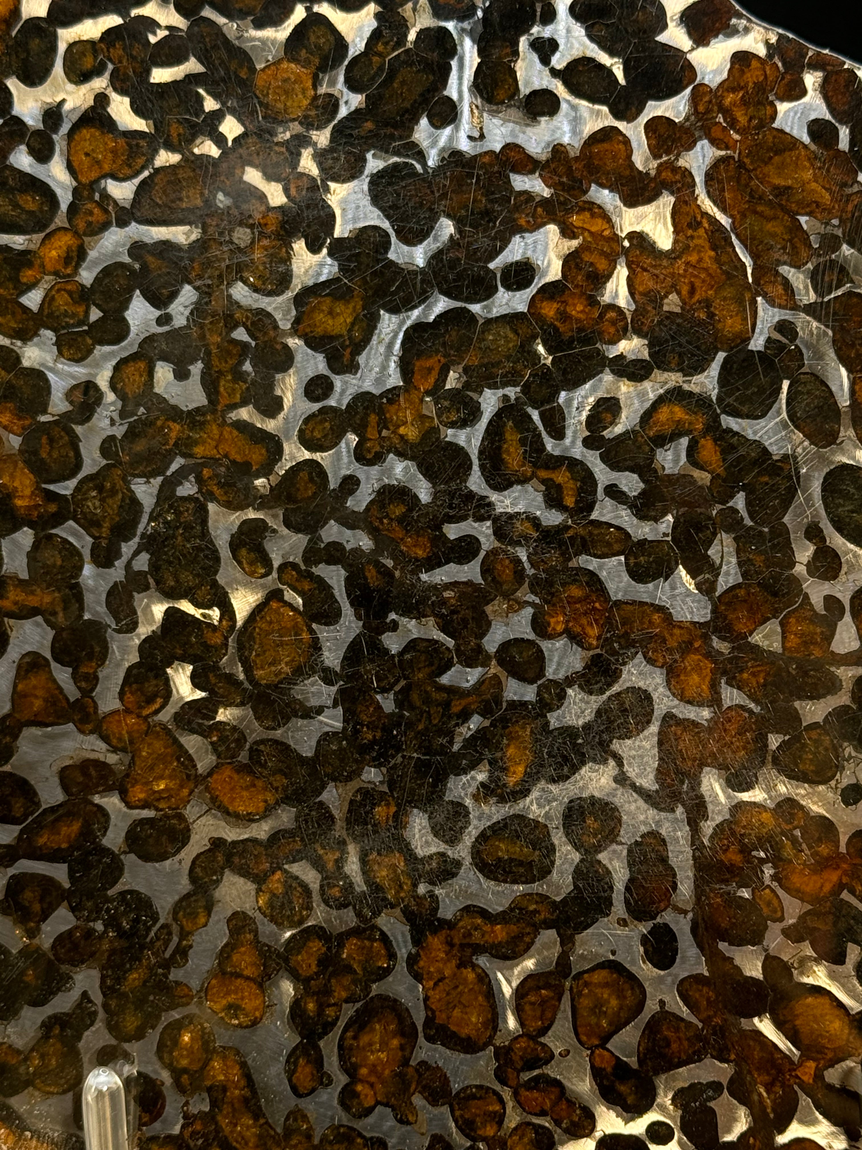 SERICHO METEORITE, KENYA. 97 GRAMS SLICE