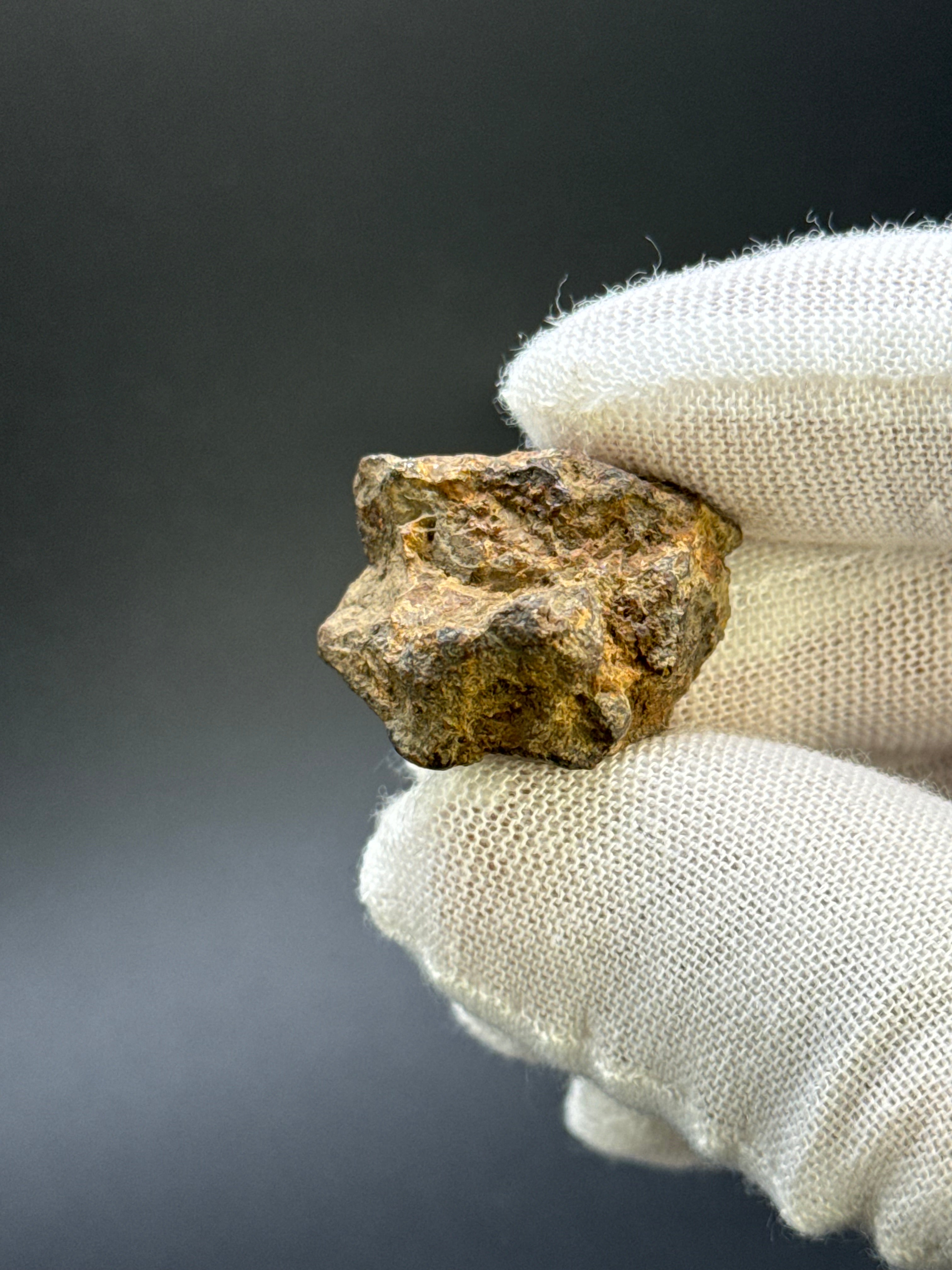 SERICHO PALLASITE METEORITE, KENYA. 13,49 GRAMS END-CUT