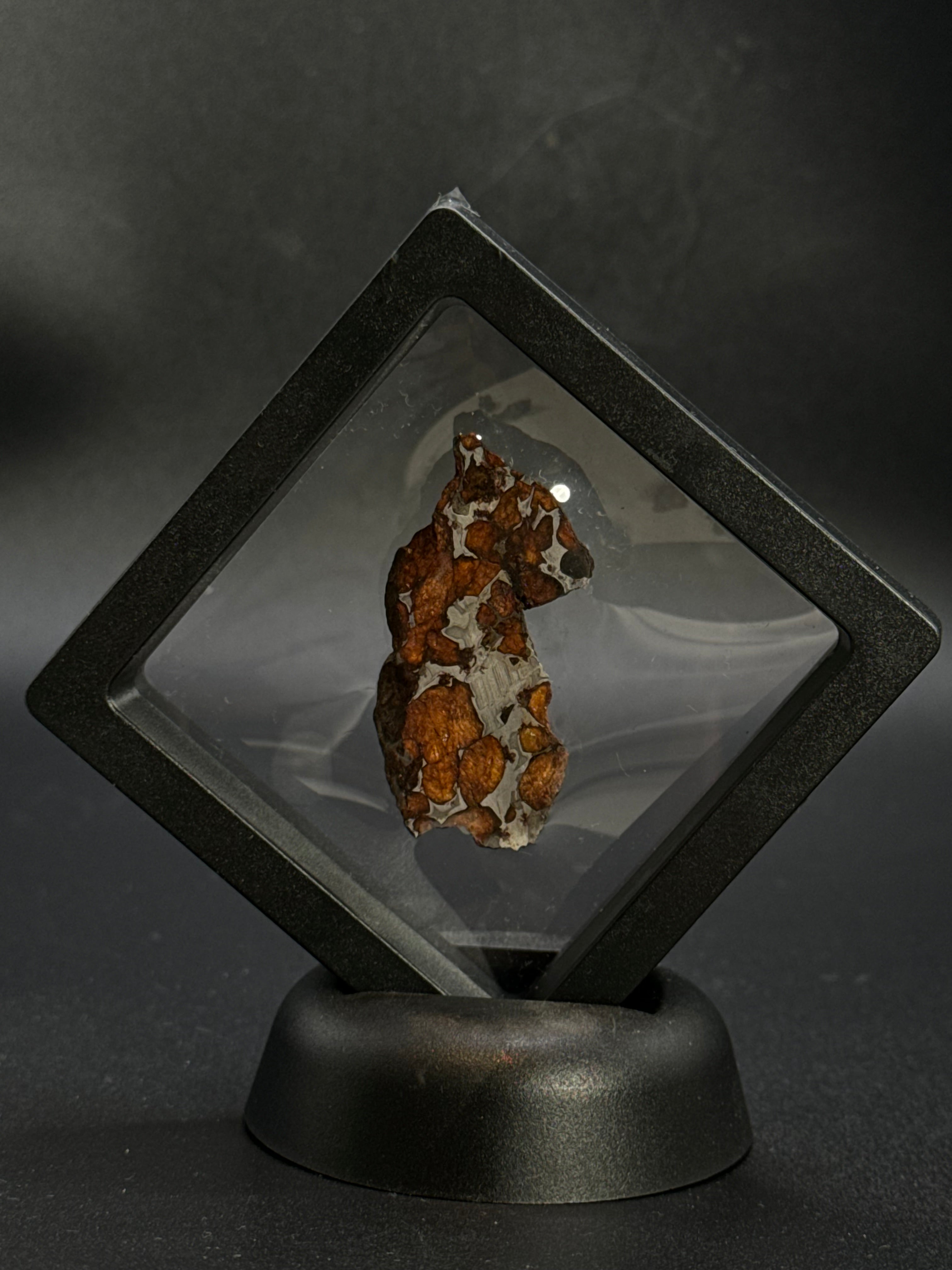 SERICHO PALLASITE METEORITE, KENYA. 15,07 GRAMS END-CUT