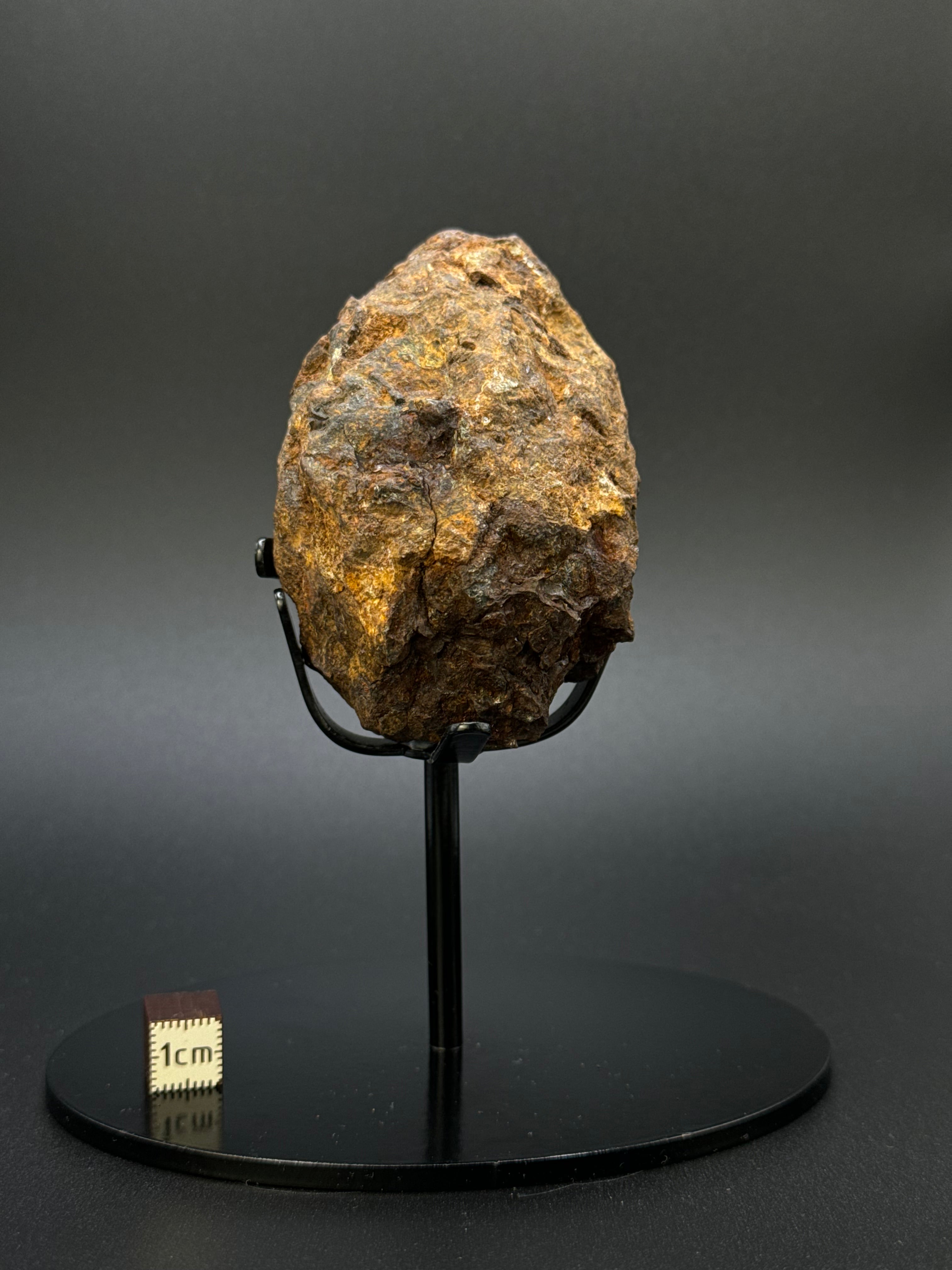 FULL SERICHO METEORITE FROM KENYA. WEIGHT: 335 GRAMS.