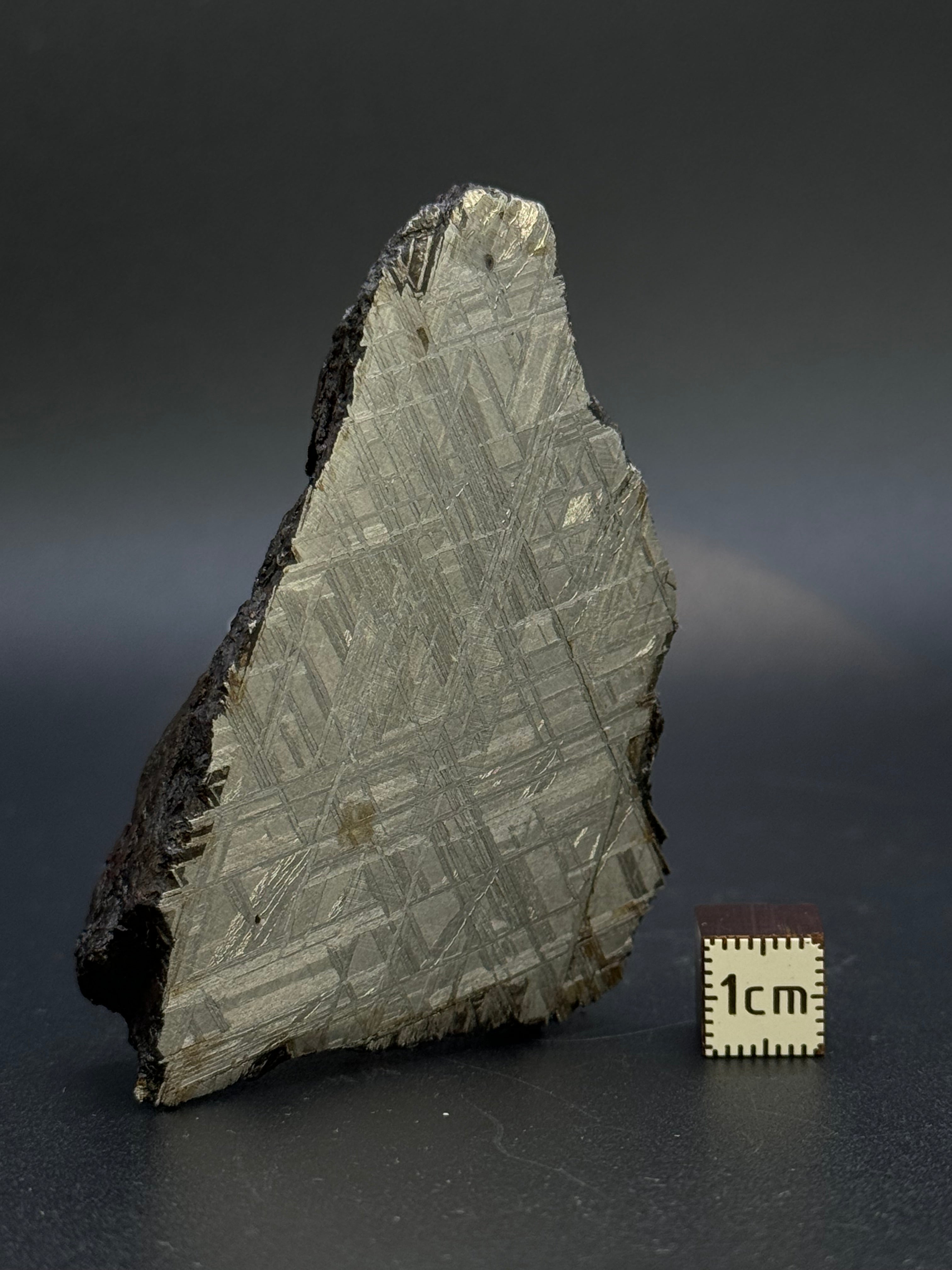 MUONIONALUSTA METEORITE, SWEDEN. 226 GRAMS END-CUT.