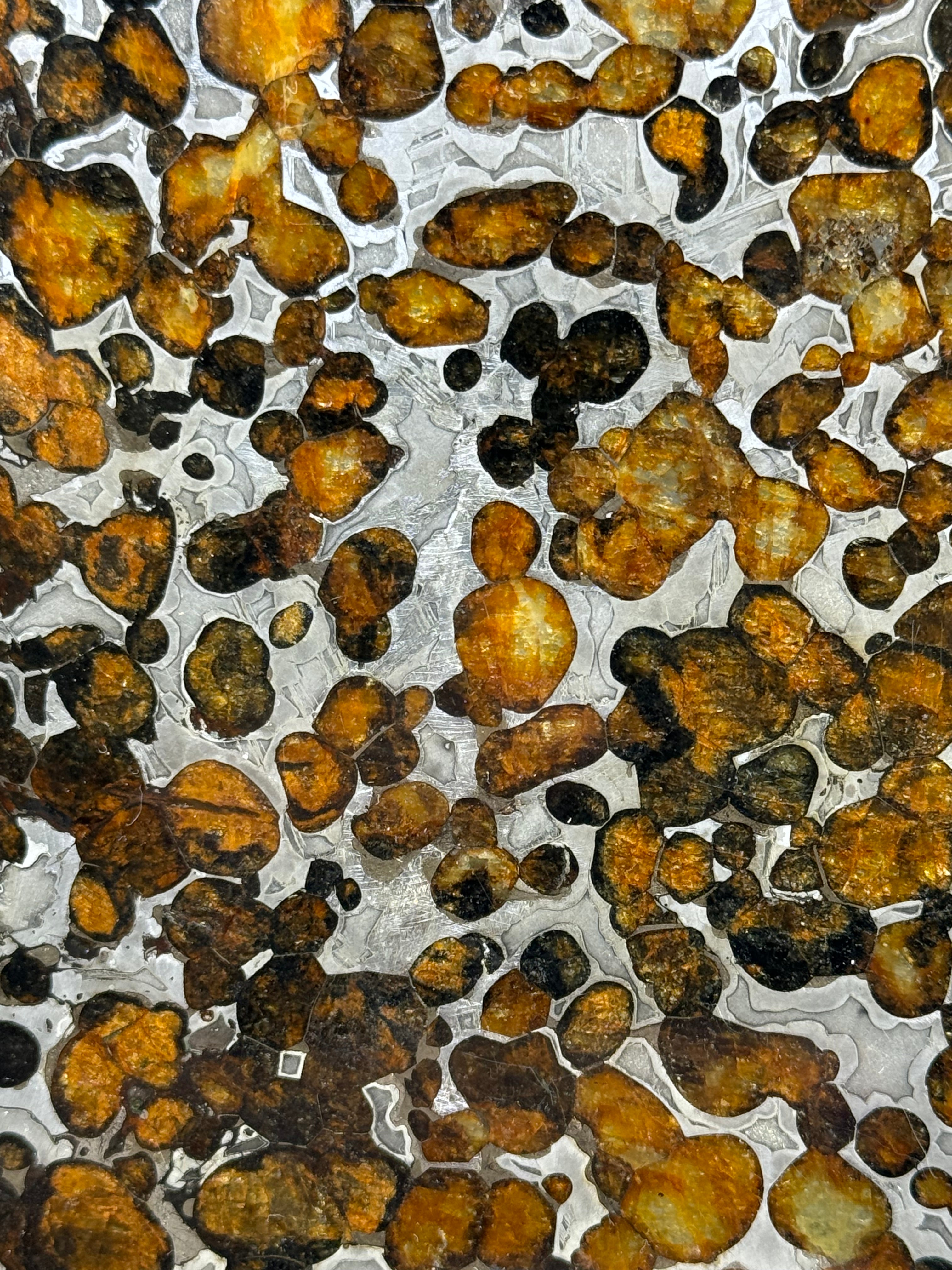 SERICHO METEORITE, KENYA. 62,07 GRAMS SLICE