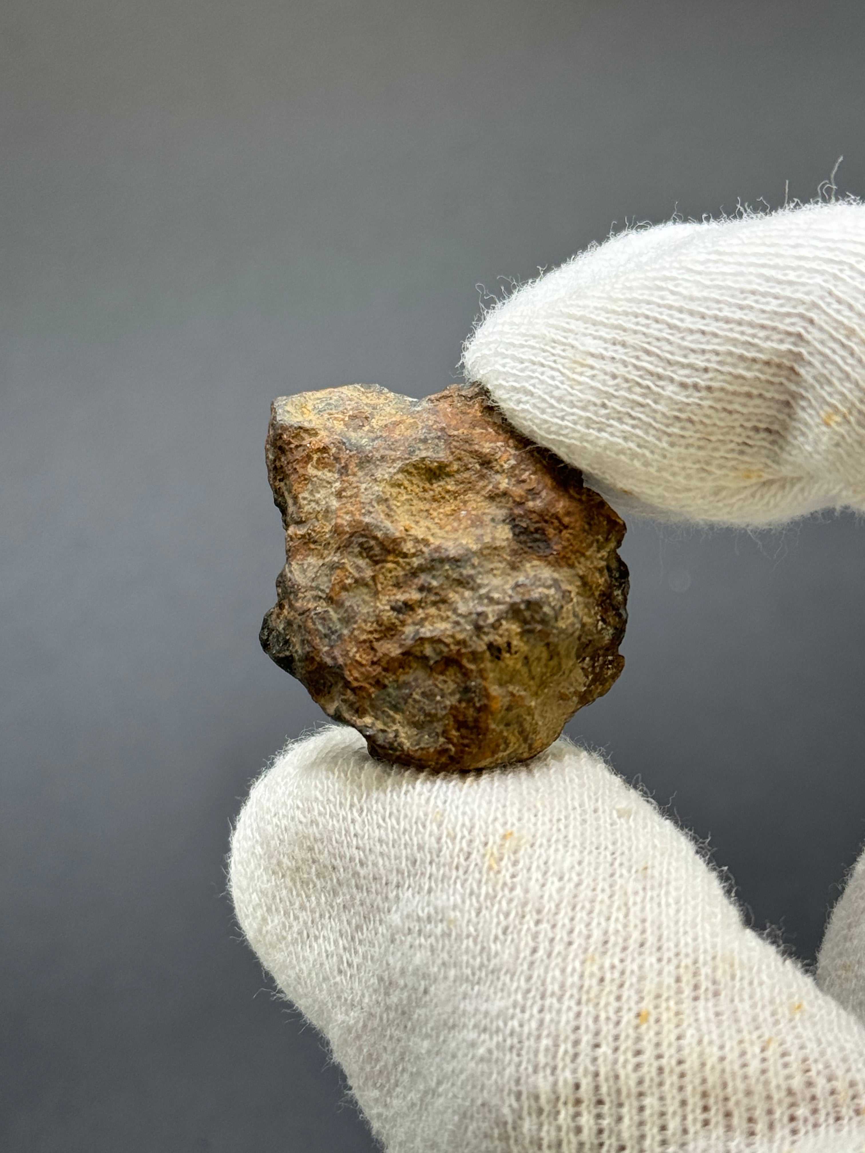 SERICHO PALLASITE METEORITE, KENYA. 12,21 GRAMS END-CUT