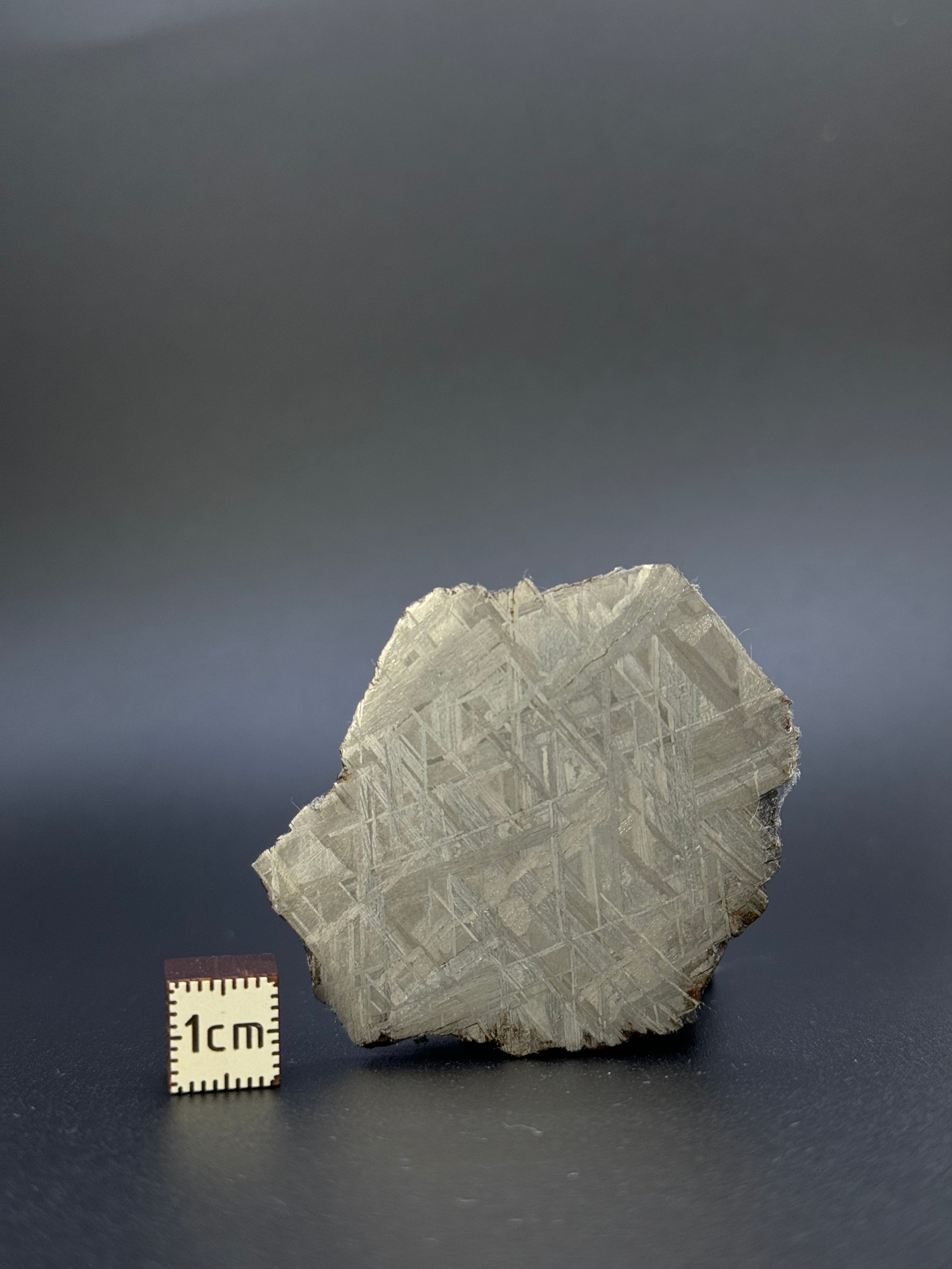 MUONIONALUSTA METEORITE, SWEDEN. 46,38 GRAMS.