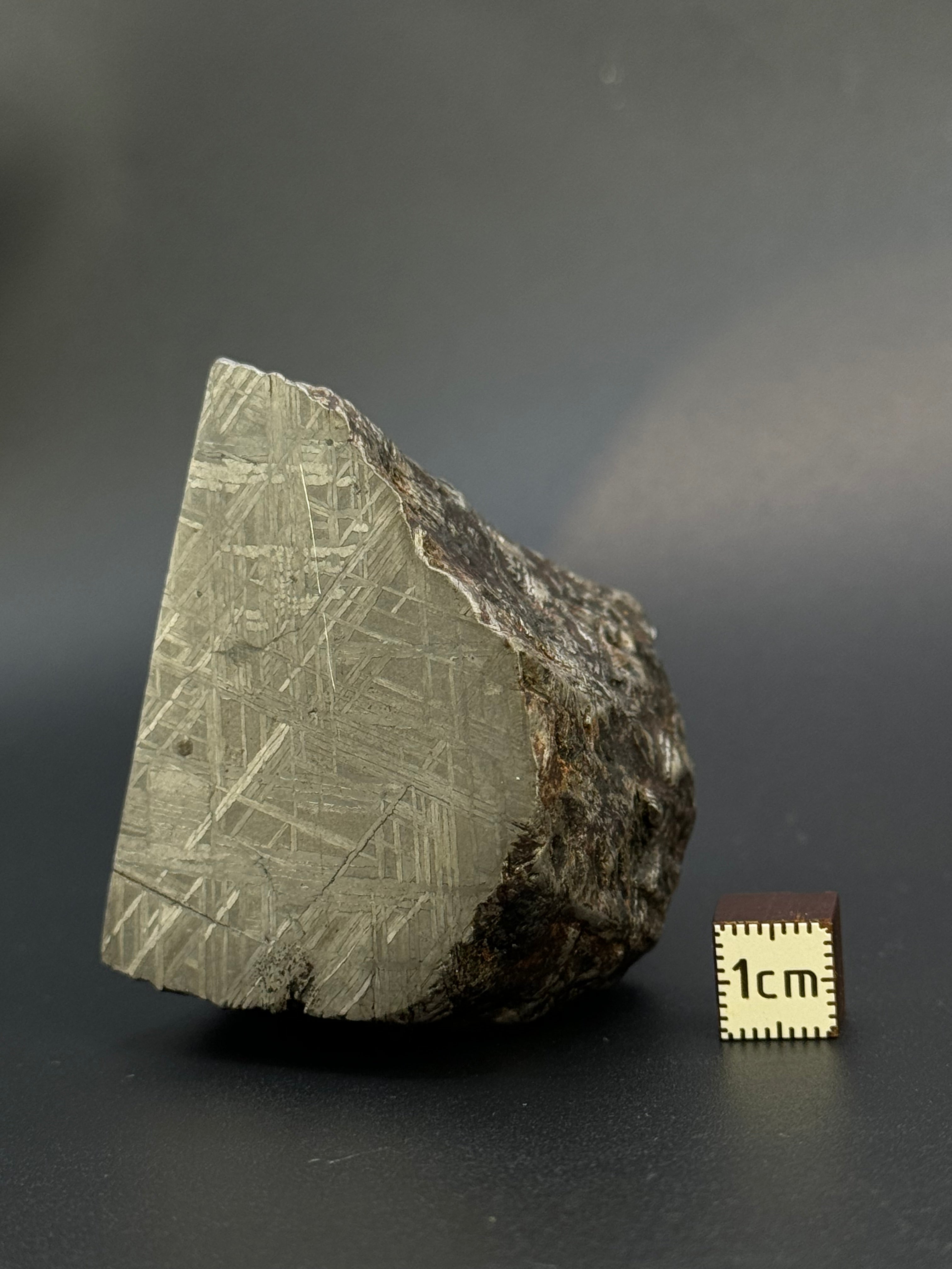 MUONIONALUSTA METEORITE, SWEDEN. 487 GRAMS END-CUT.