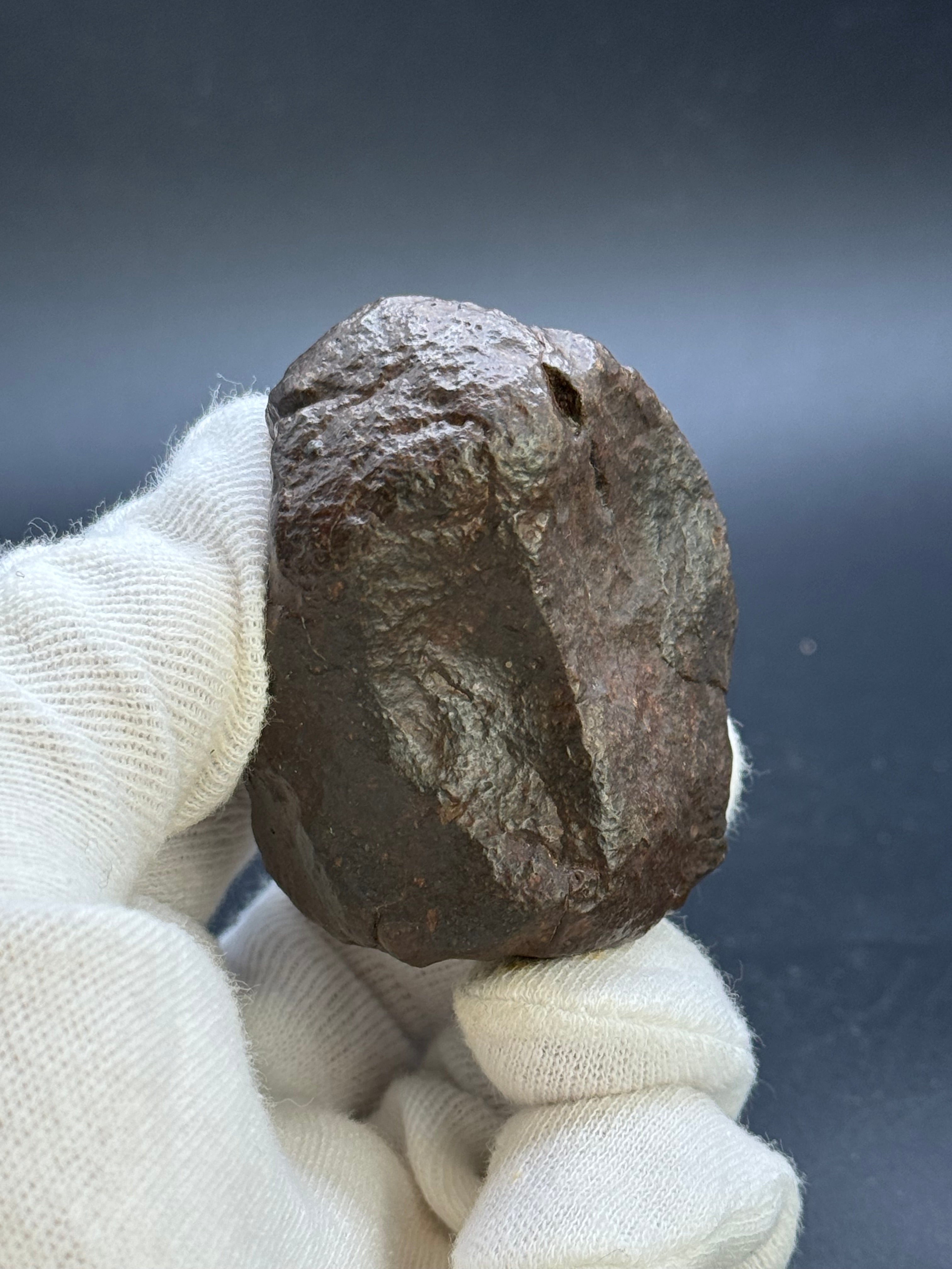 CHONDRITE METEORITE, NORTH WEST AFRICA. 159 GRAMS.