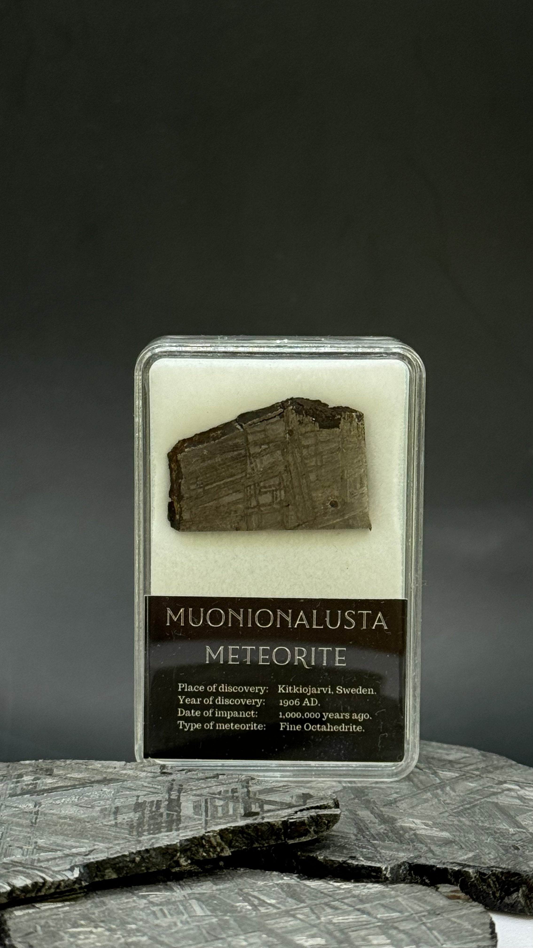 Muonionalusta meteorite in display box. 7,44 grams.