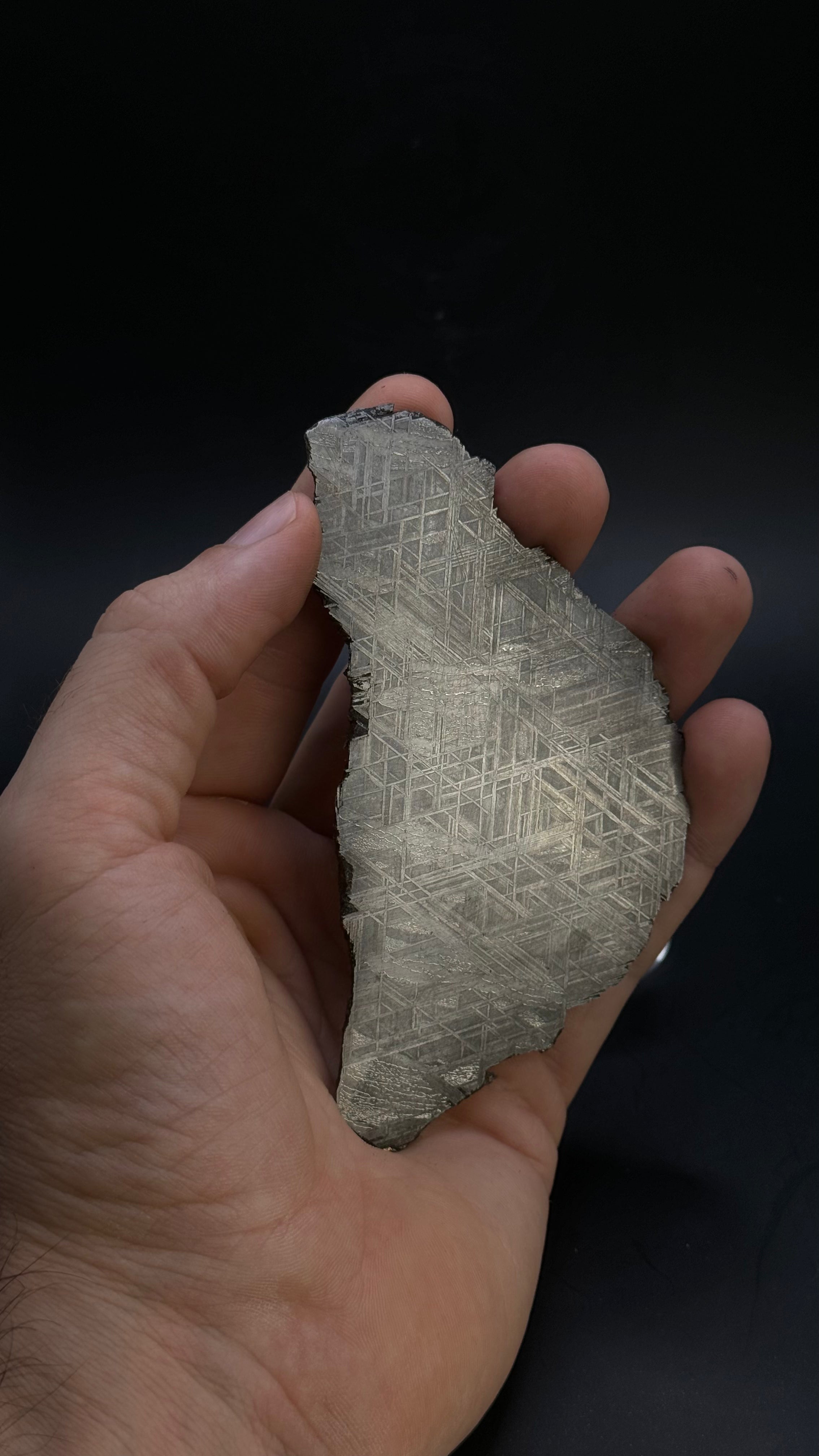 Muonionalusta meteorite, Sweden. 72,02 grams.