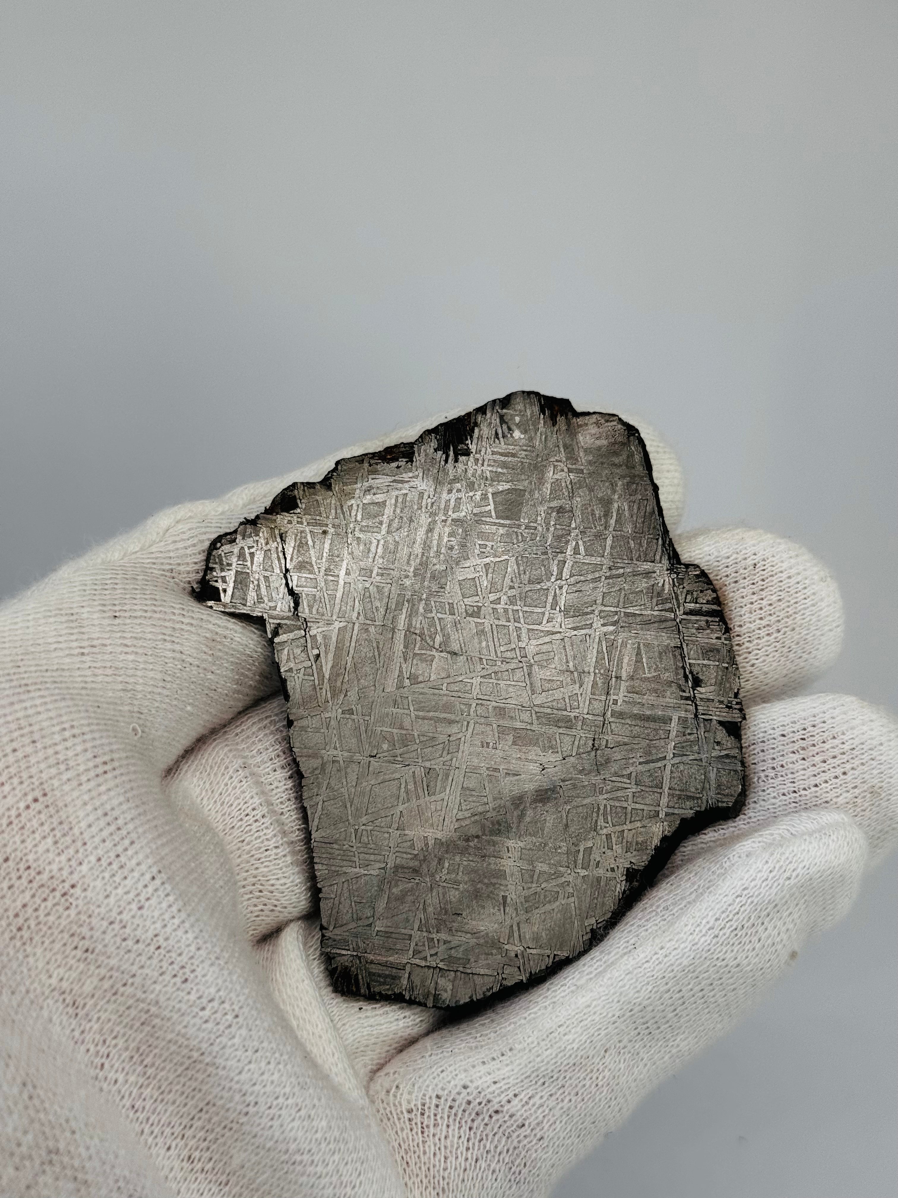 Muonionalusta Meteorite, Sweden. 69,17 grams slice.