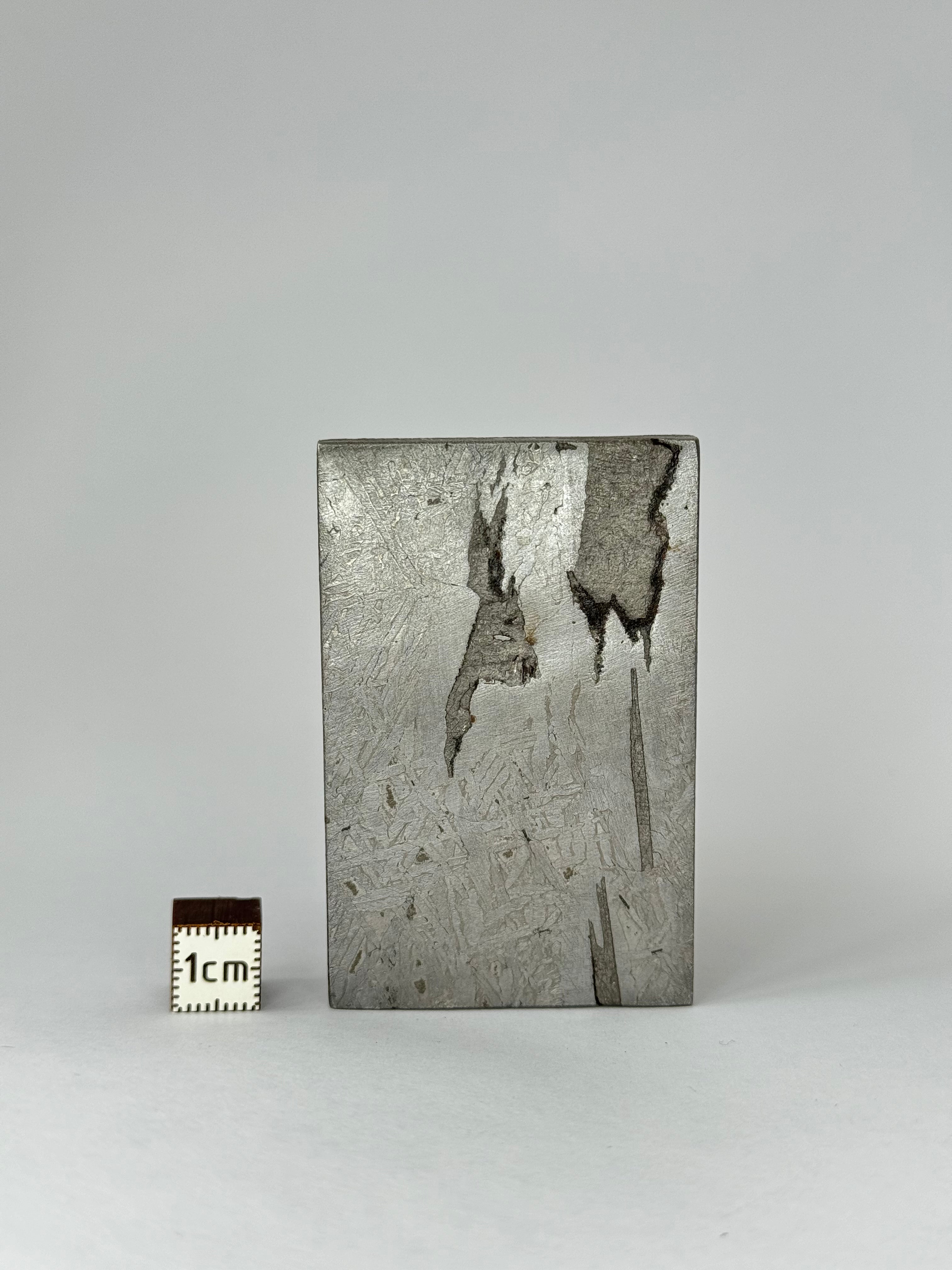 Aletai meteorite, Gobi Desert, China. 87,75 grams.