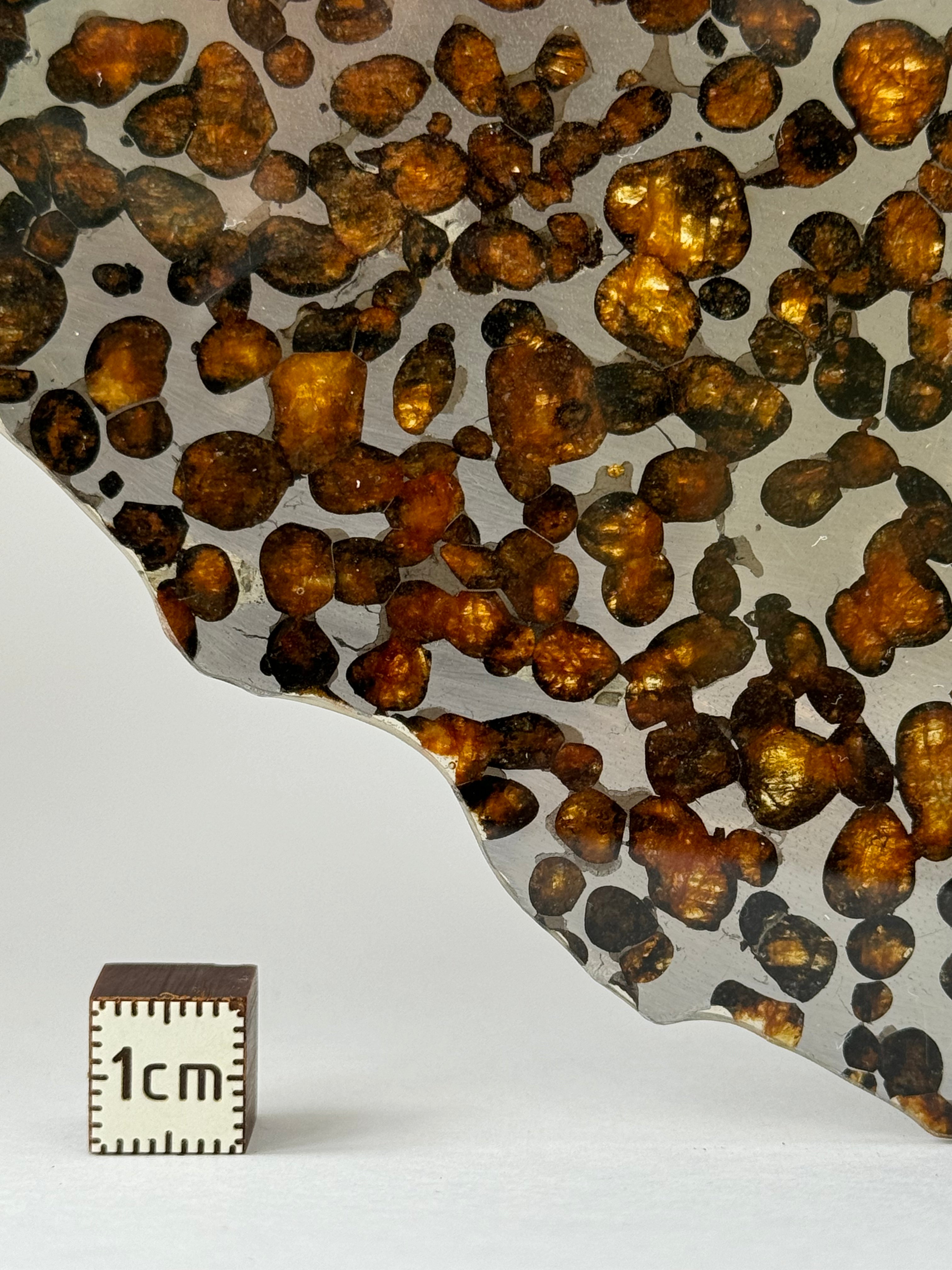 Sericho meteorite, Kenya. 87,90 grams.