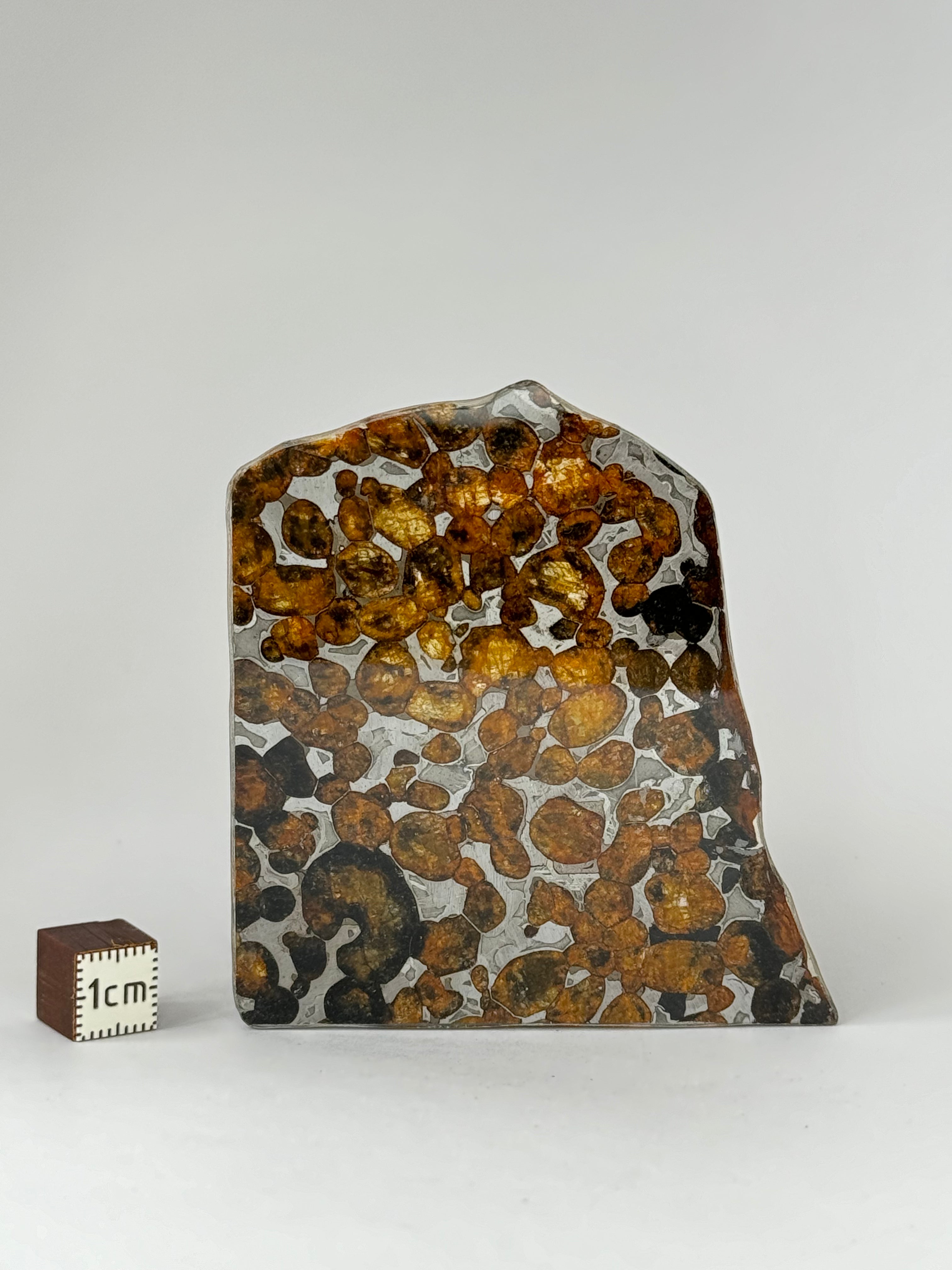Sericho meteorite, Kenya. 24,51 grams.