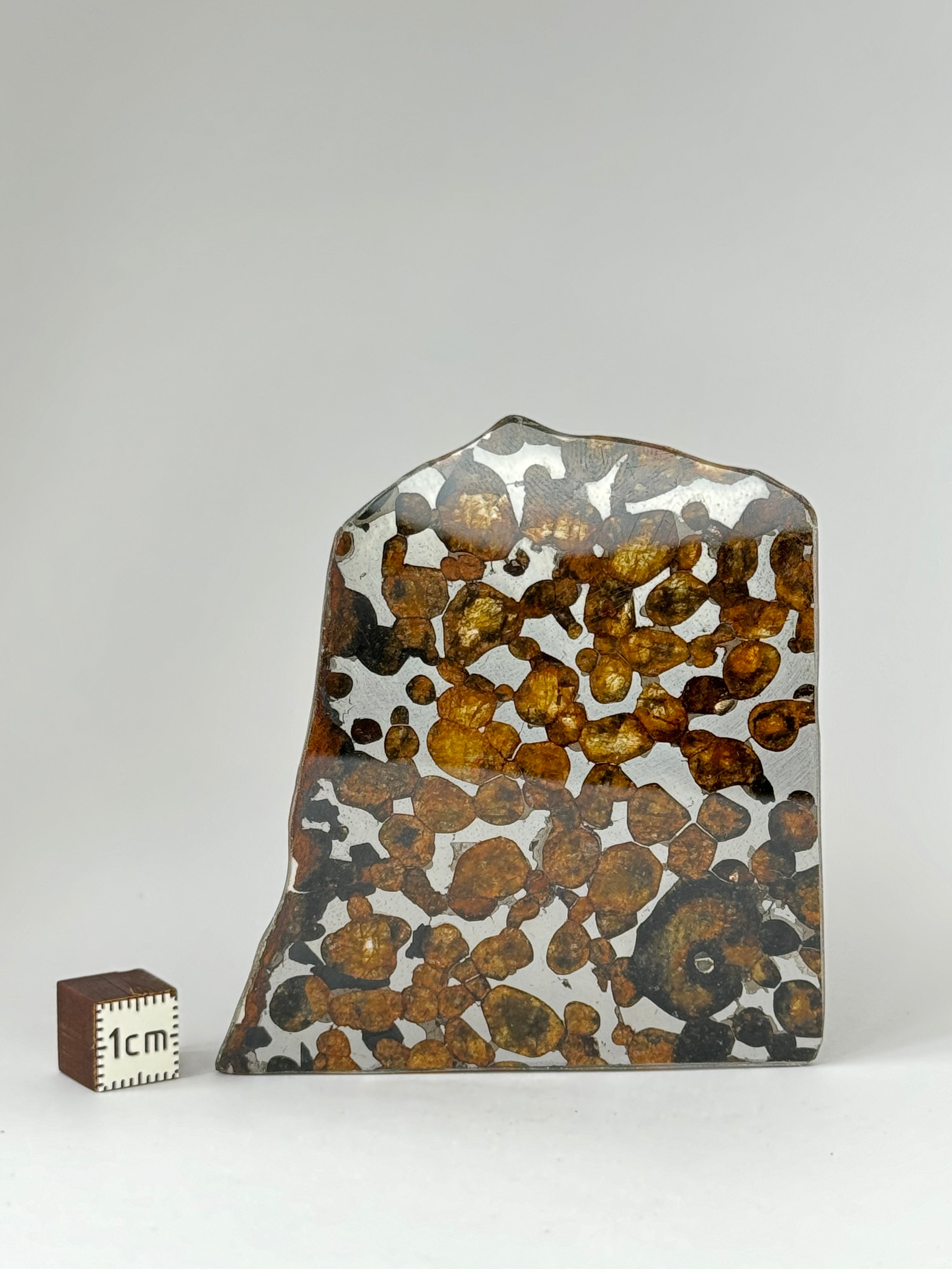 Sericho meteorite, Kenya. 24,51 grams.