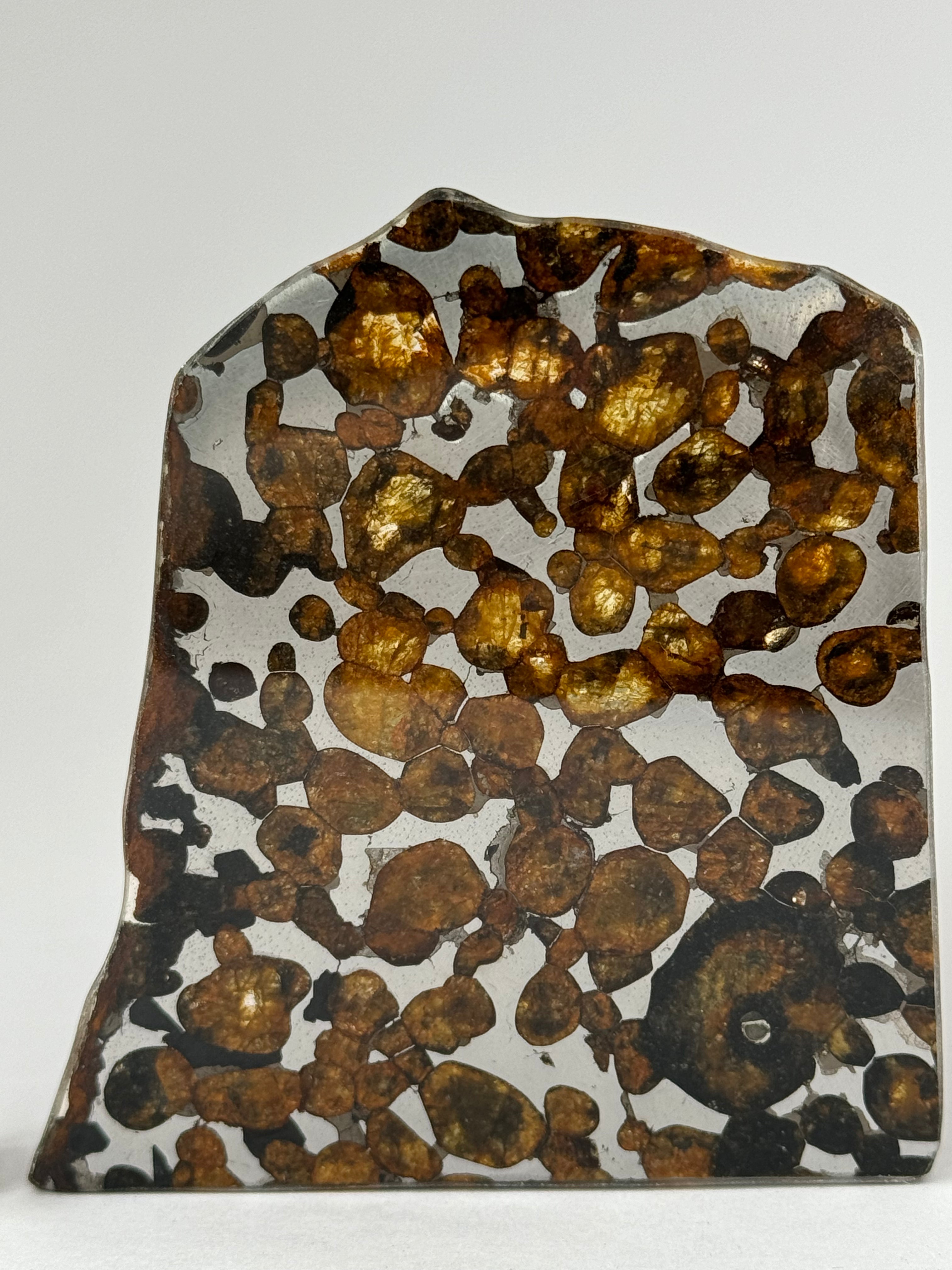 Sericho meteorite, Kenya. 24,51 grams.