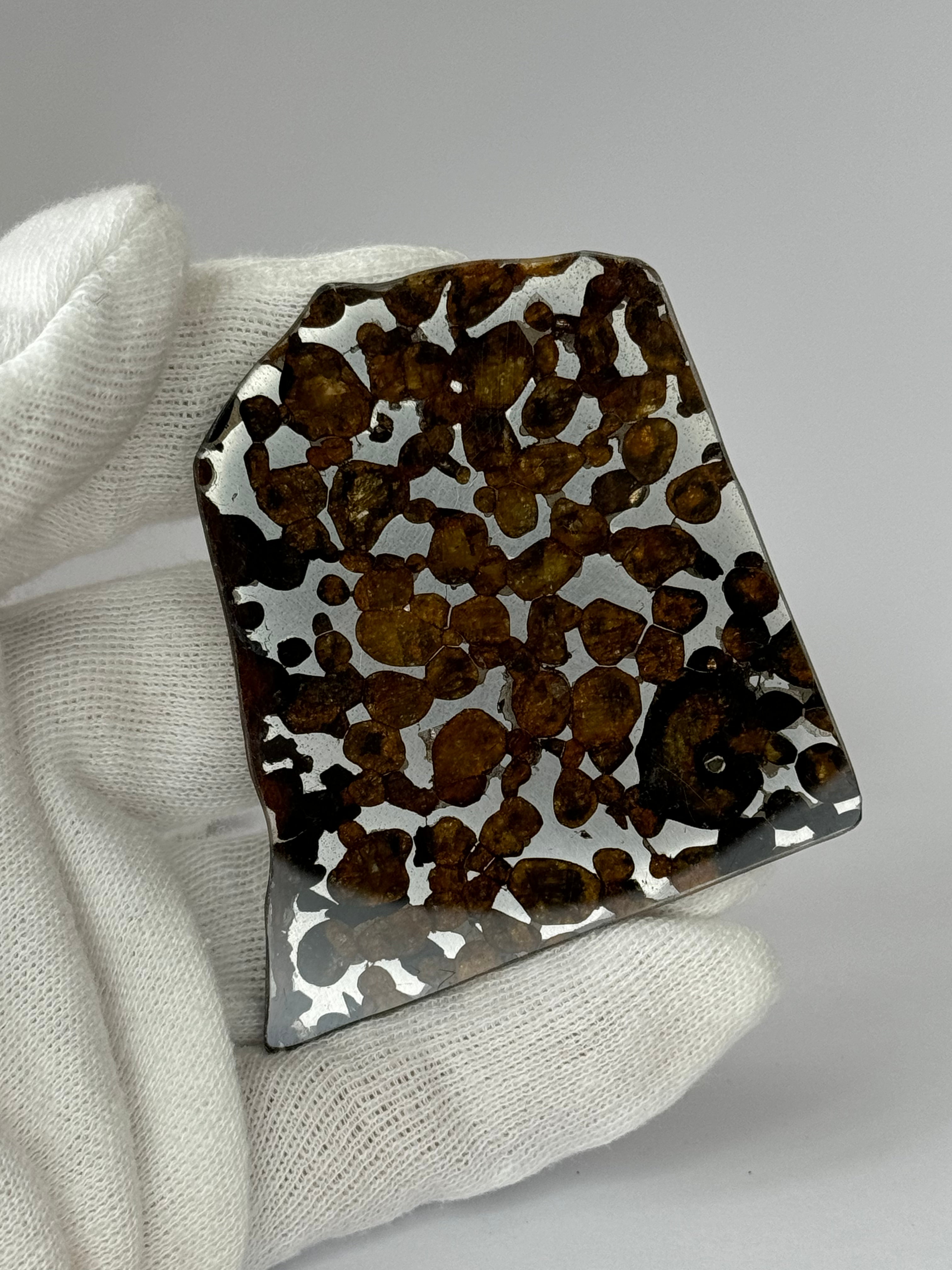 Sericho meteorite, Kenya. 24,51 grams.