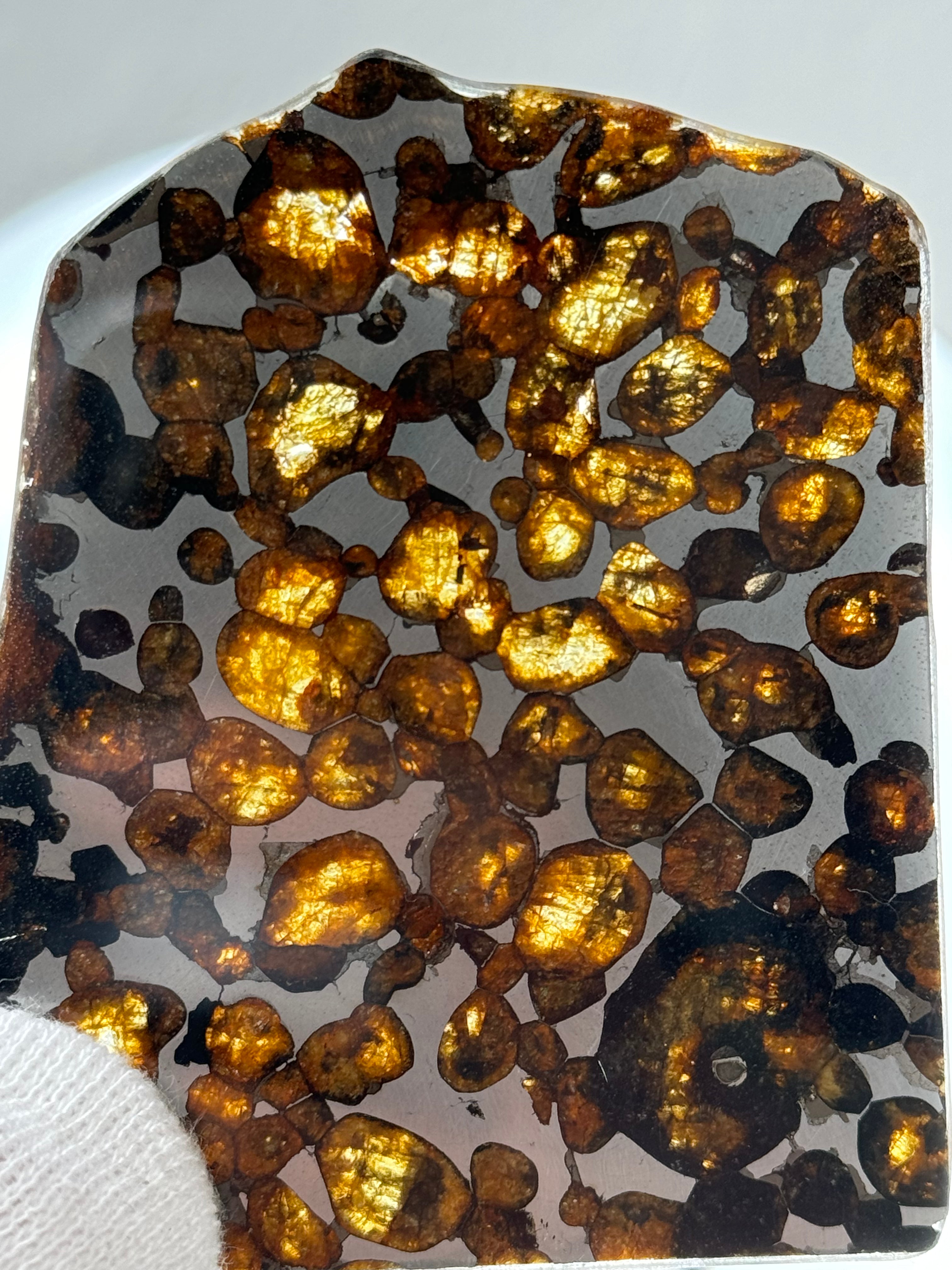 Sericho meteorite, Kenya. 24,51 grams.