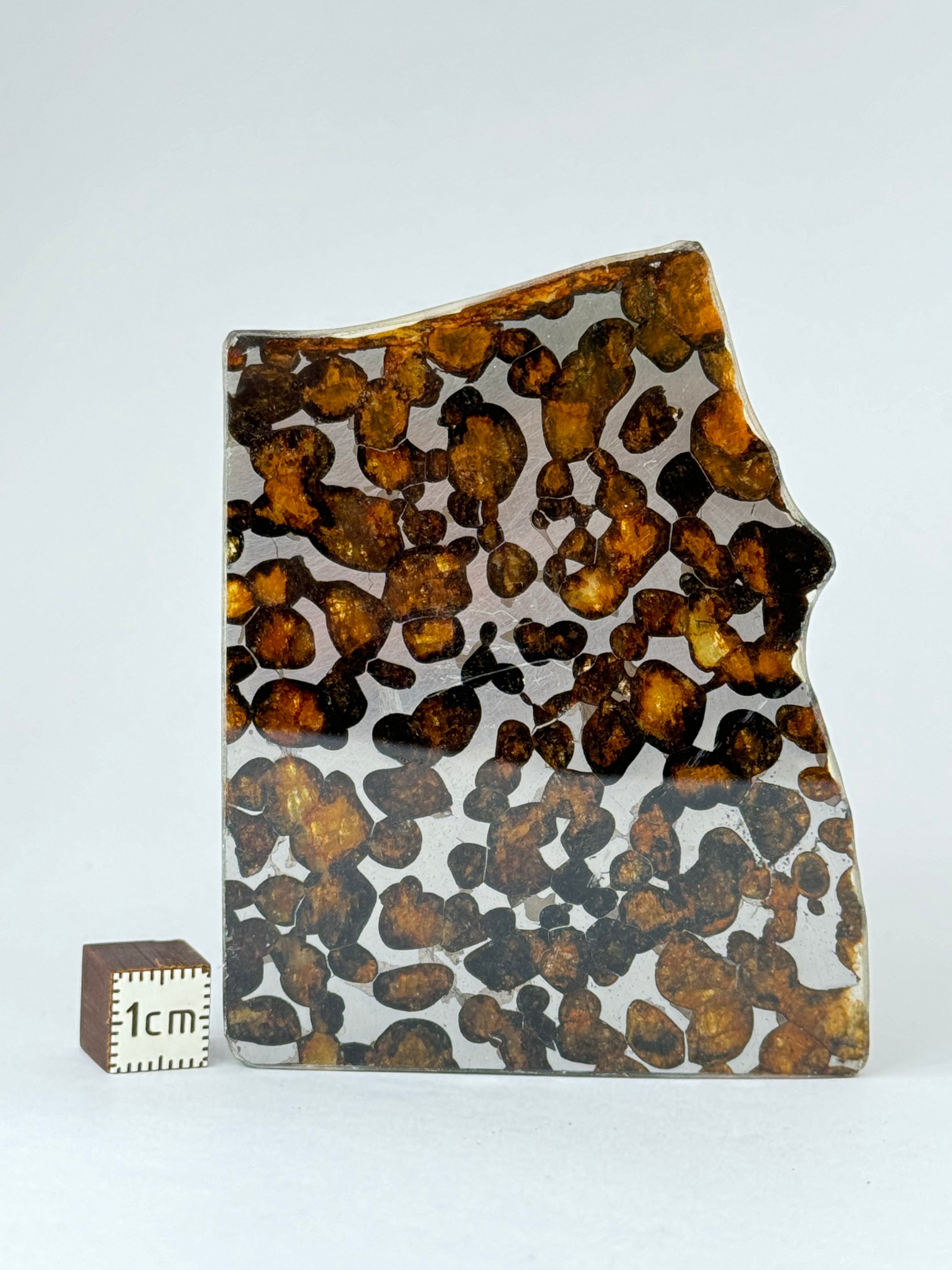 Sericho meteorite, Kenya. 30 grams.
