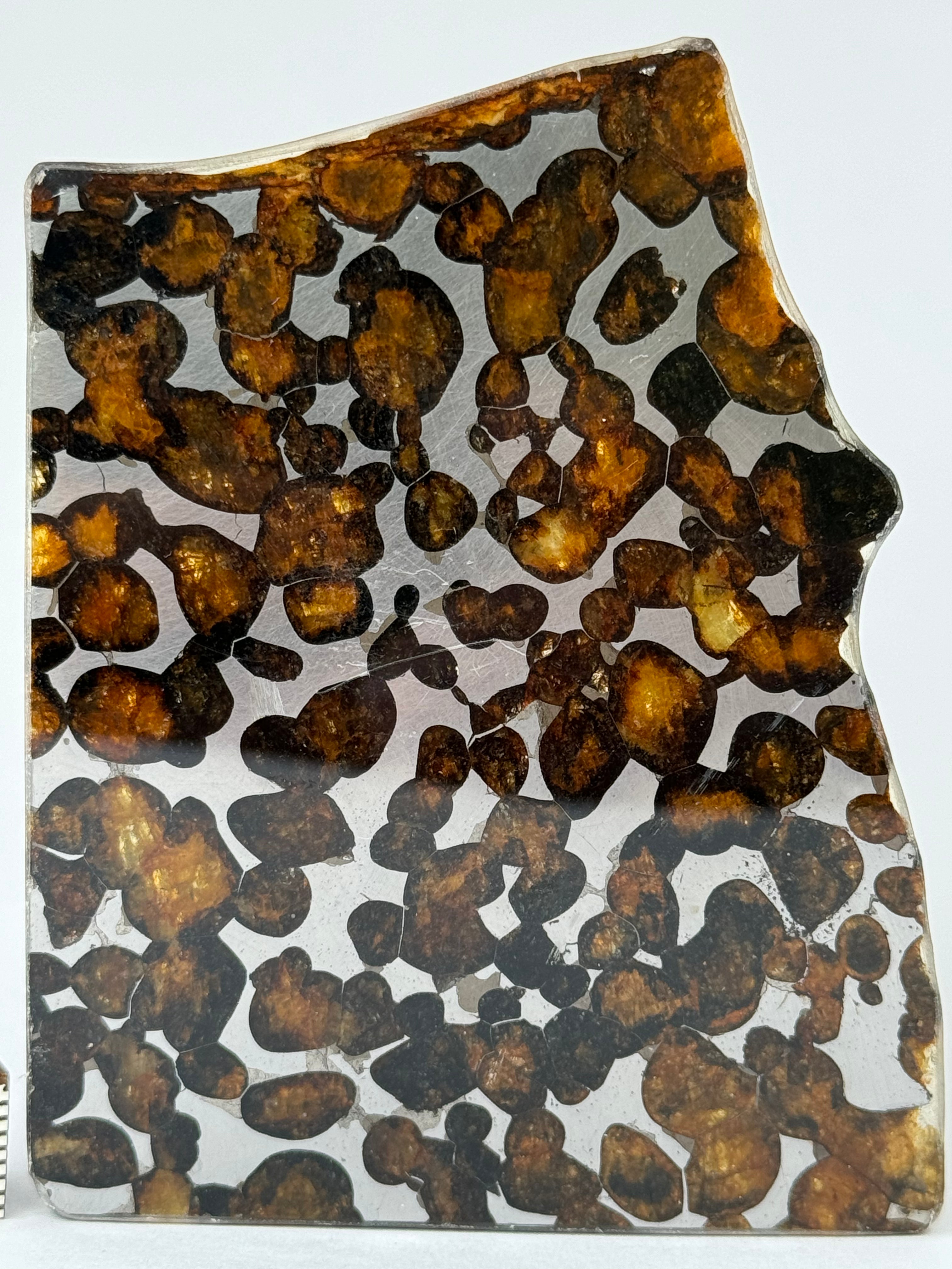 Sericho meteorite, Kenya. 30 grams.
