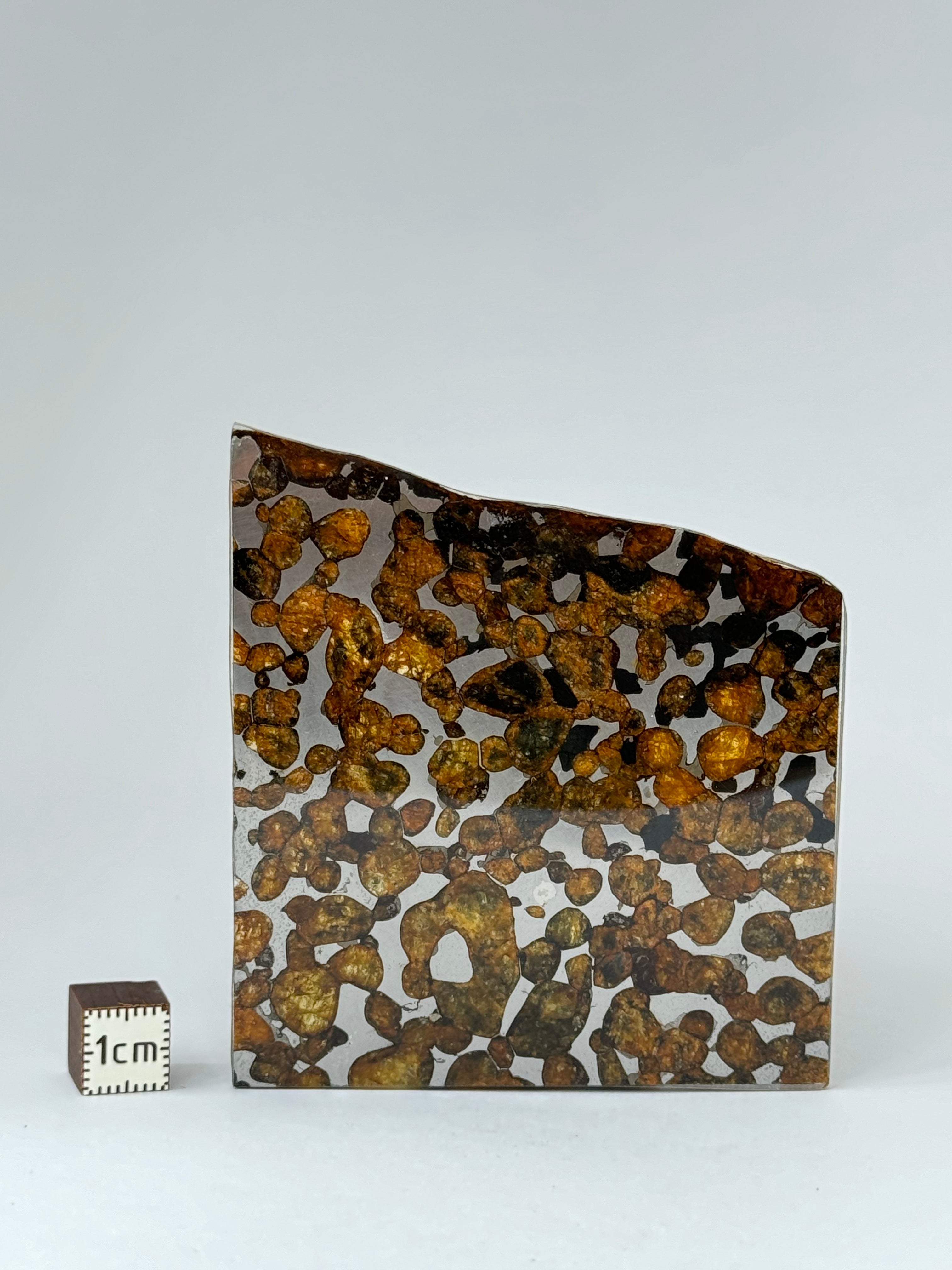 Sericho meteorite, Kenya. 33,65 grams.