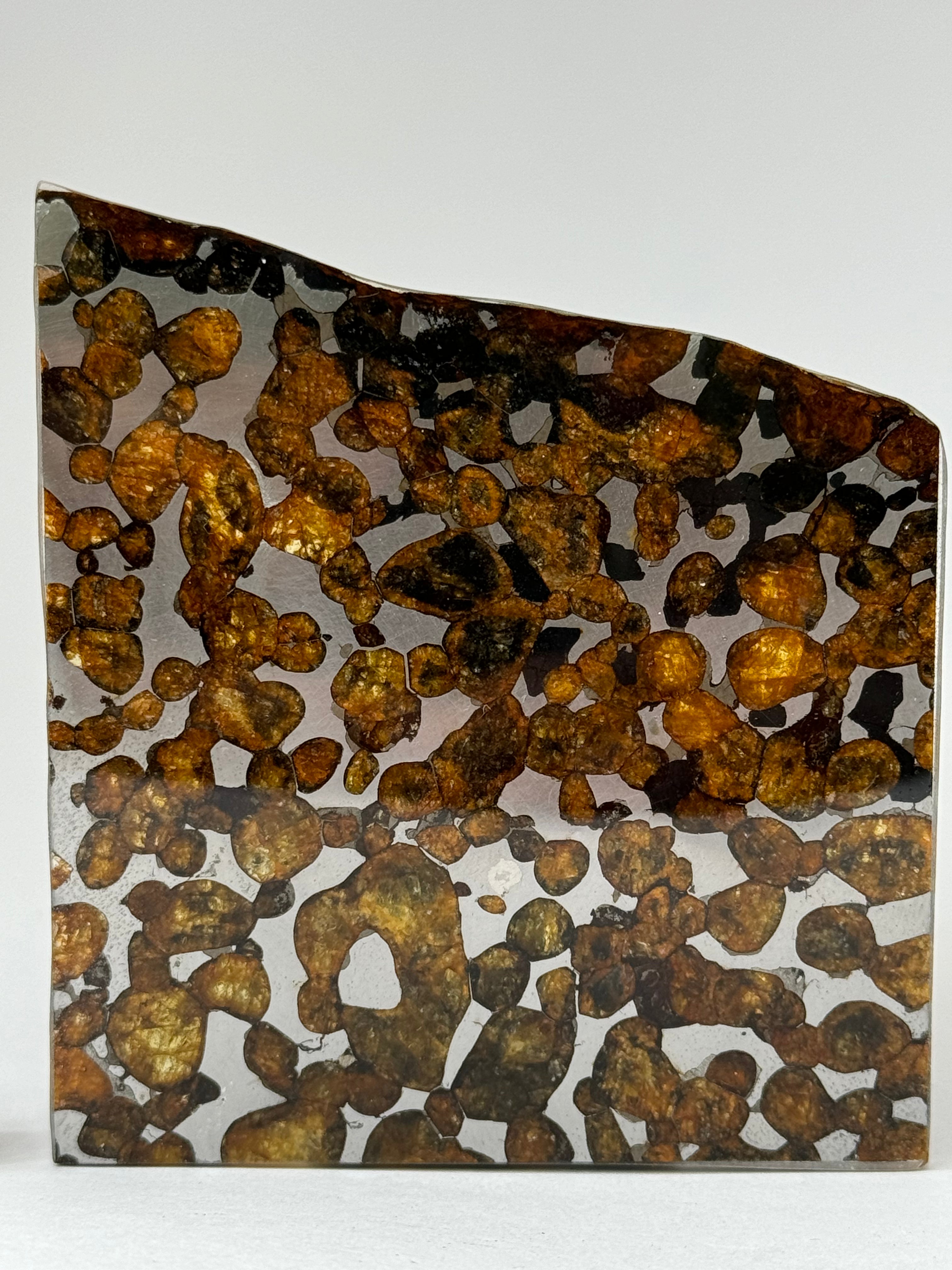 Sericho meteorite, Kenya. 33,65 grams.