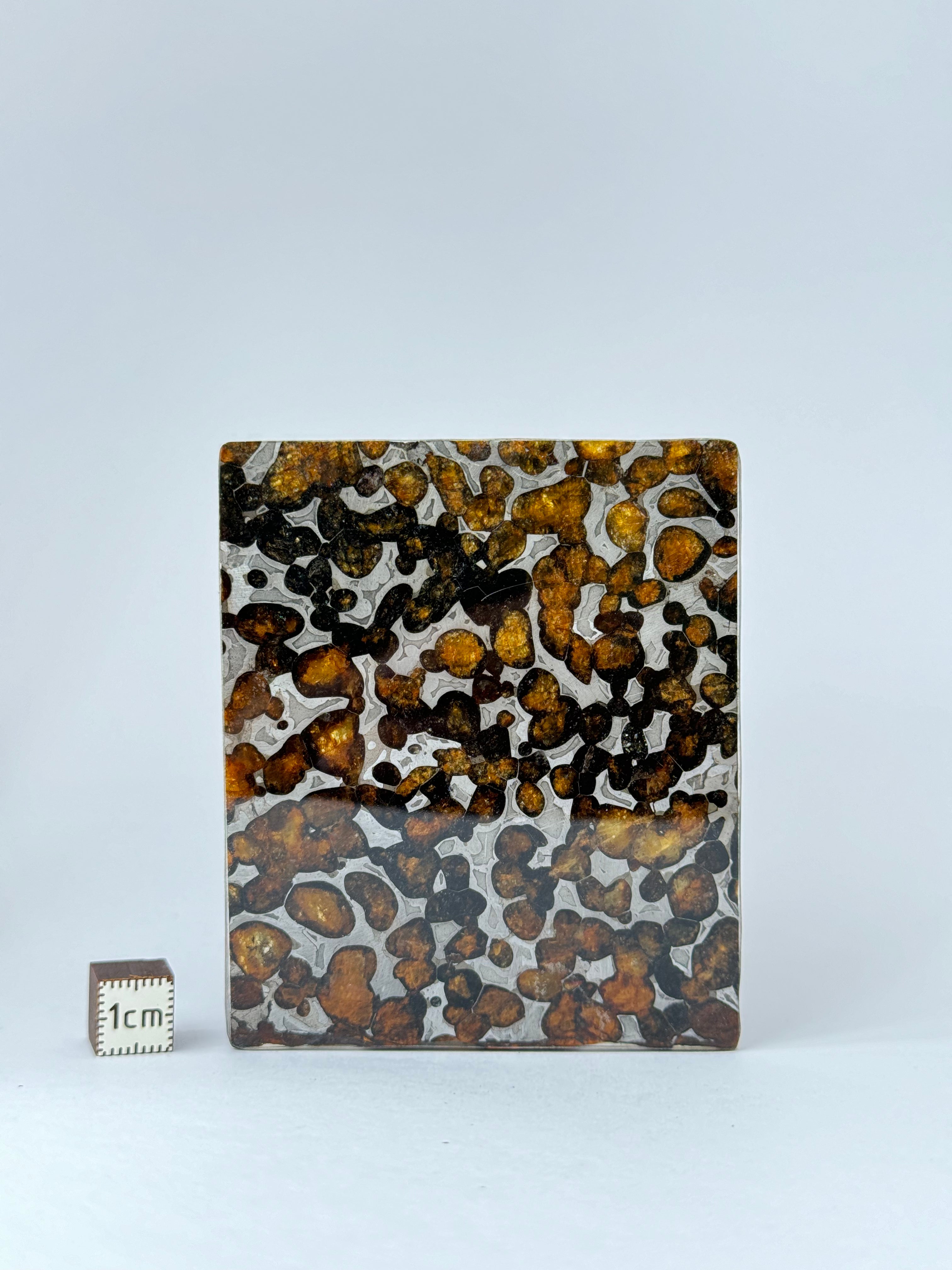 Sericho Meteorite, Kenya. 46,18 grams.