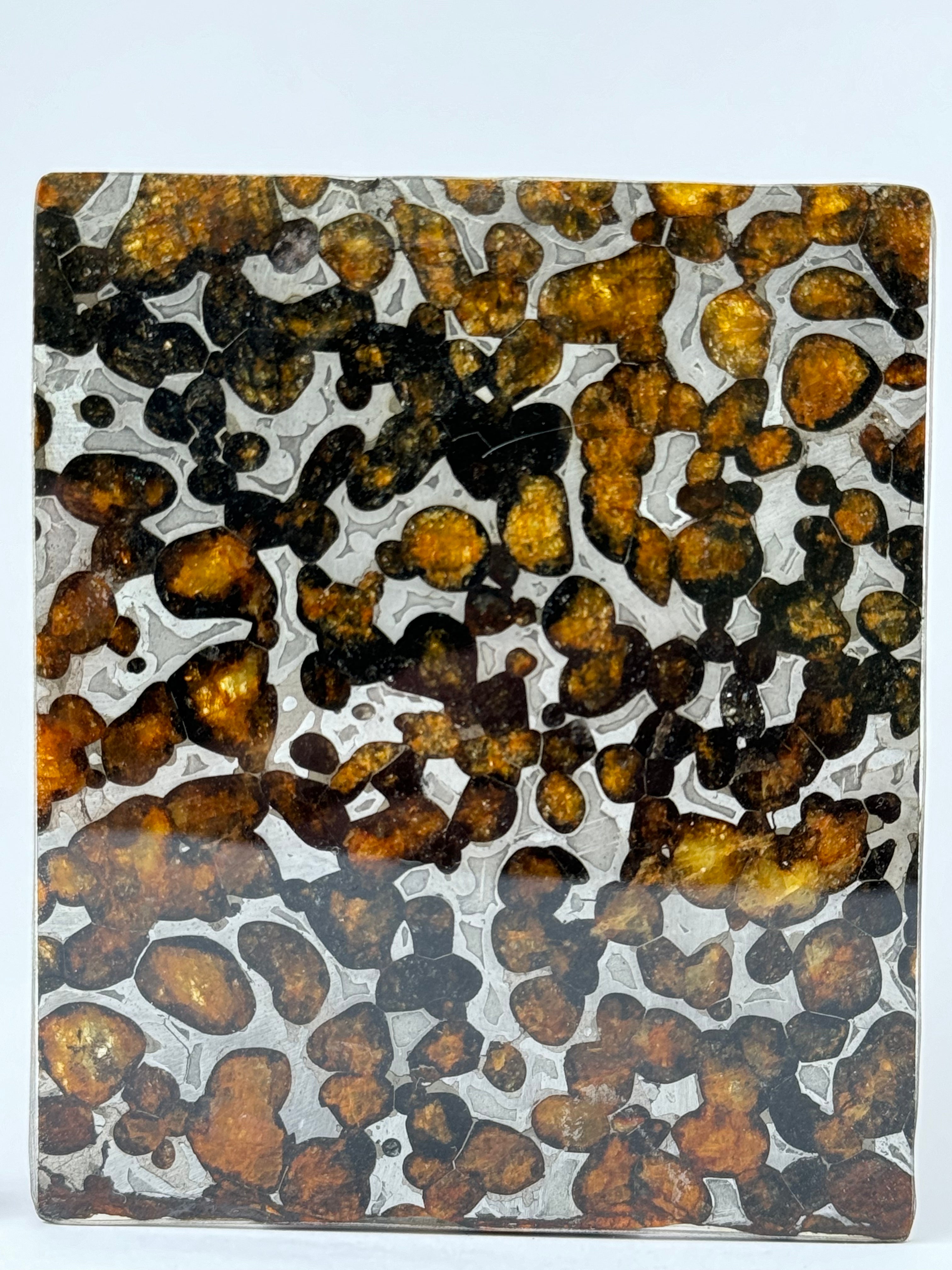 Sericho Meteorite, Kenya. 46,18 grams.