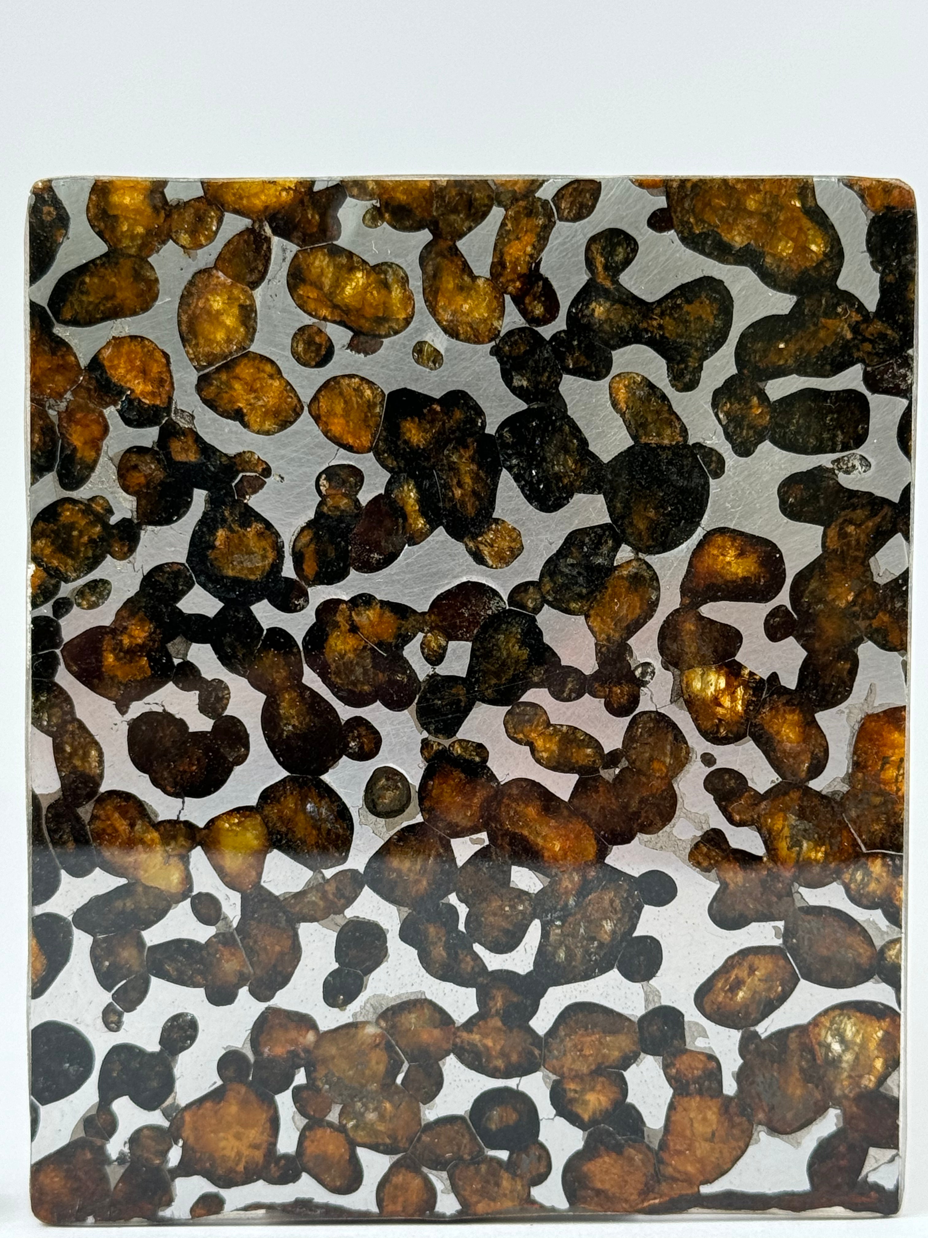 Sericho Meteorite, Kenya. 46,18 grams.