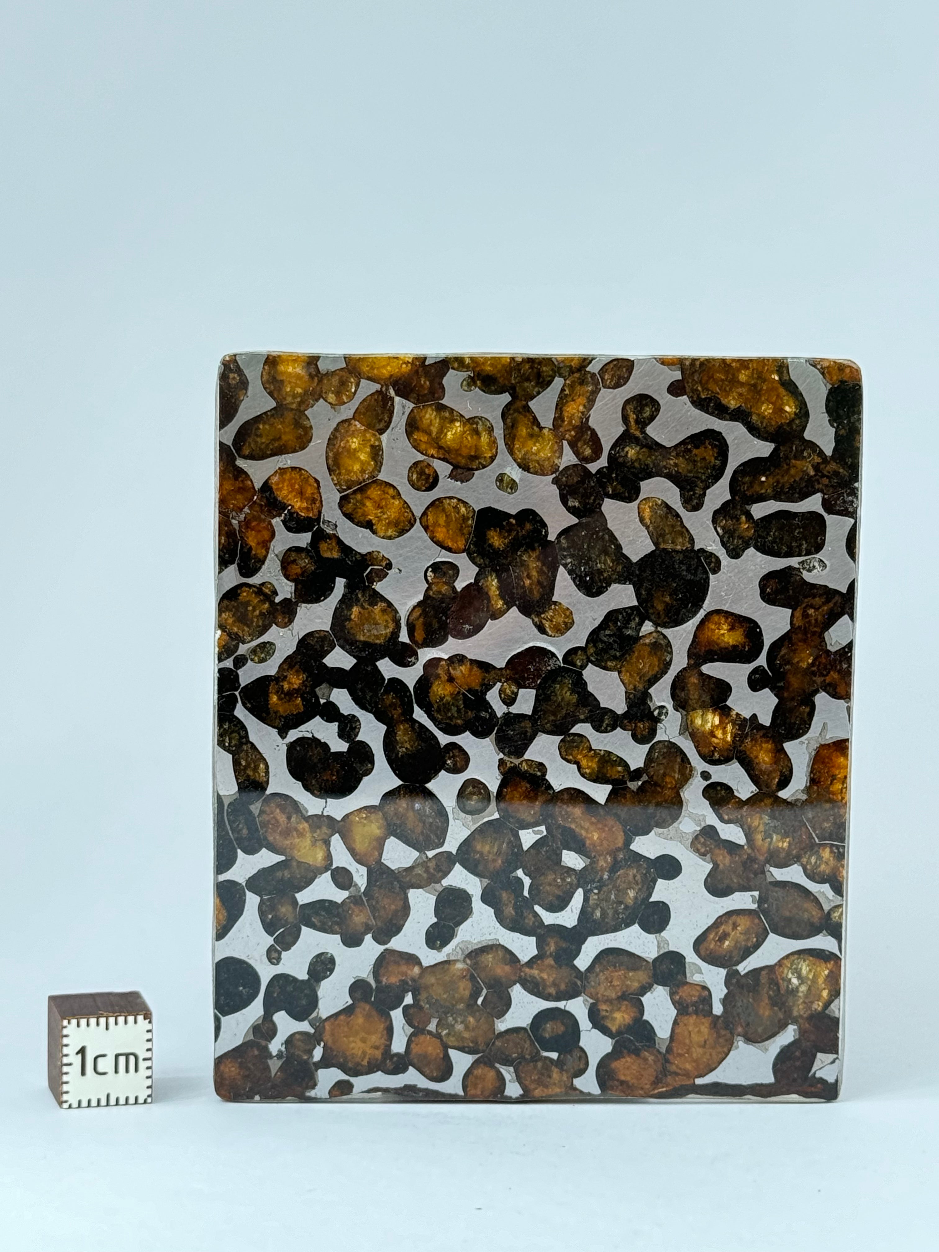 Sericho Meteorite, Kenya. 46,18 grams.
