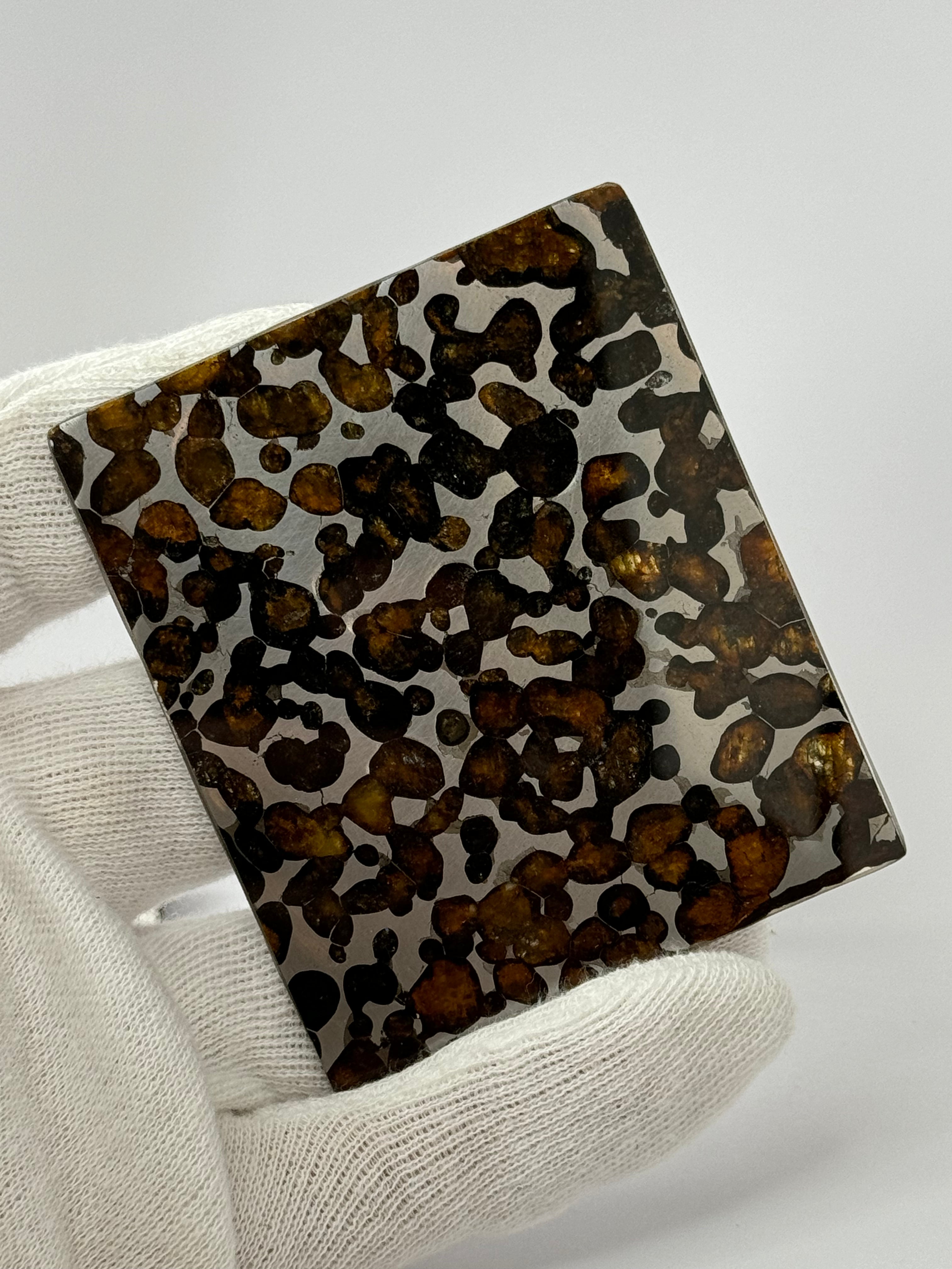 Sericho Meteorite, Kenya. 46,18 grams.