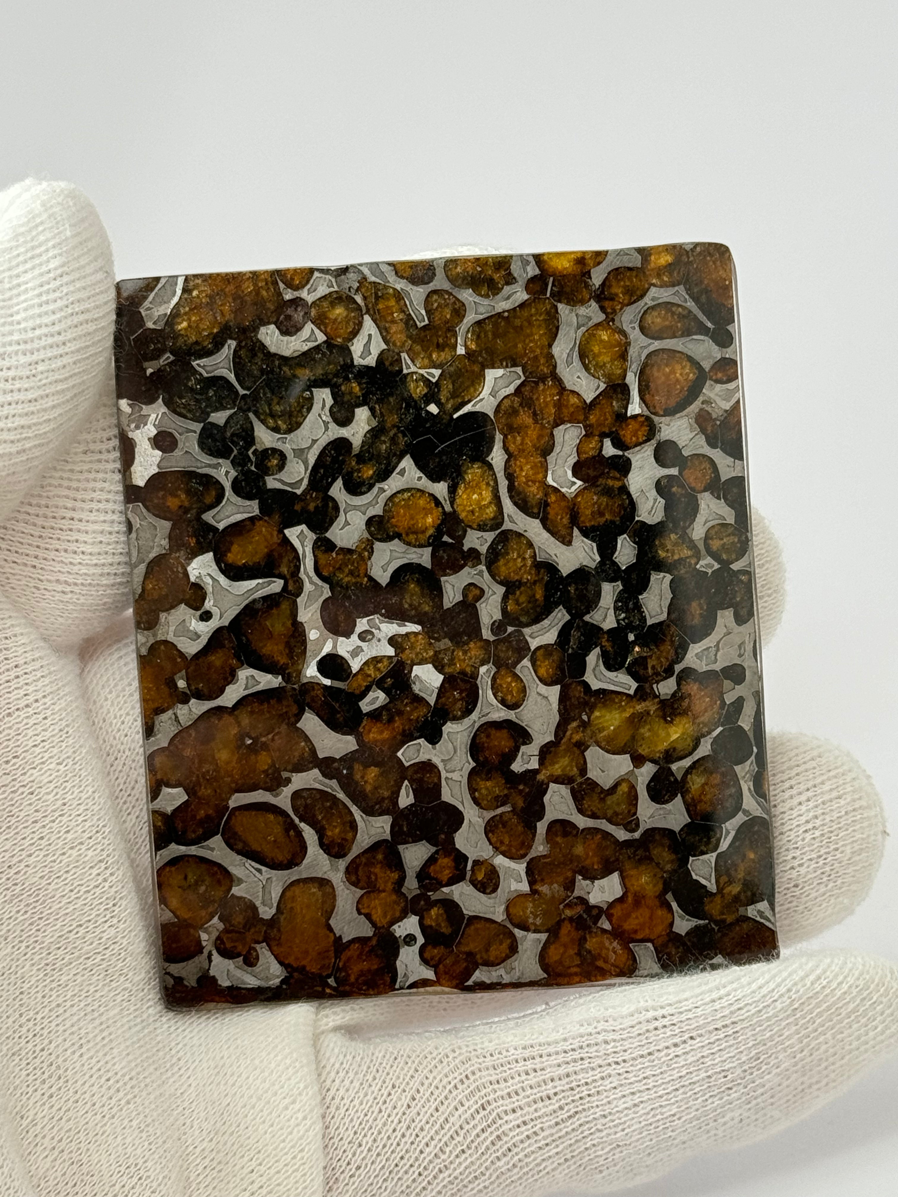 Sericho Meteorite, Kenya. 46,18 grams.