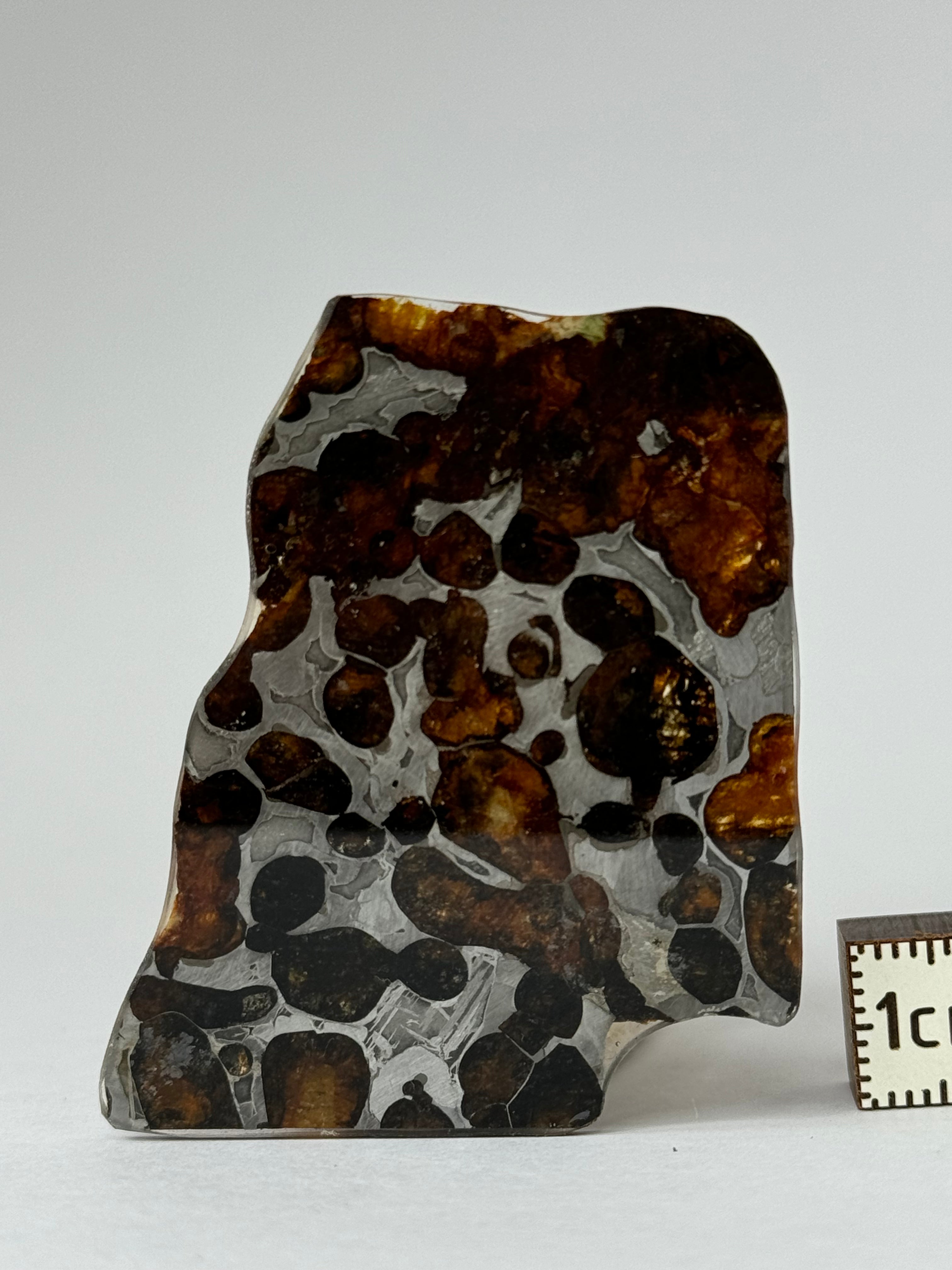 Sericho meteorite, Kenya. 7,45 grams.