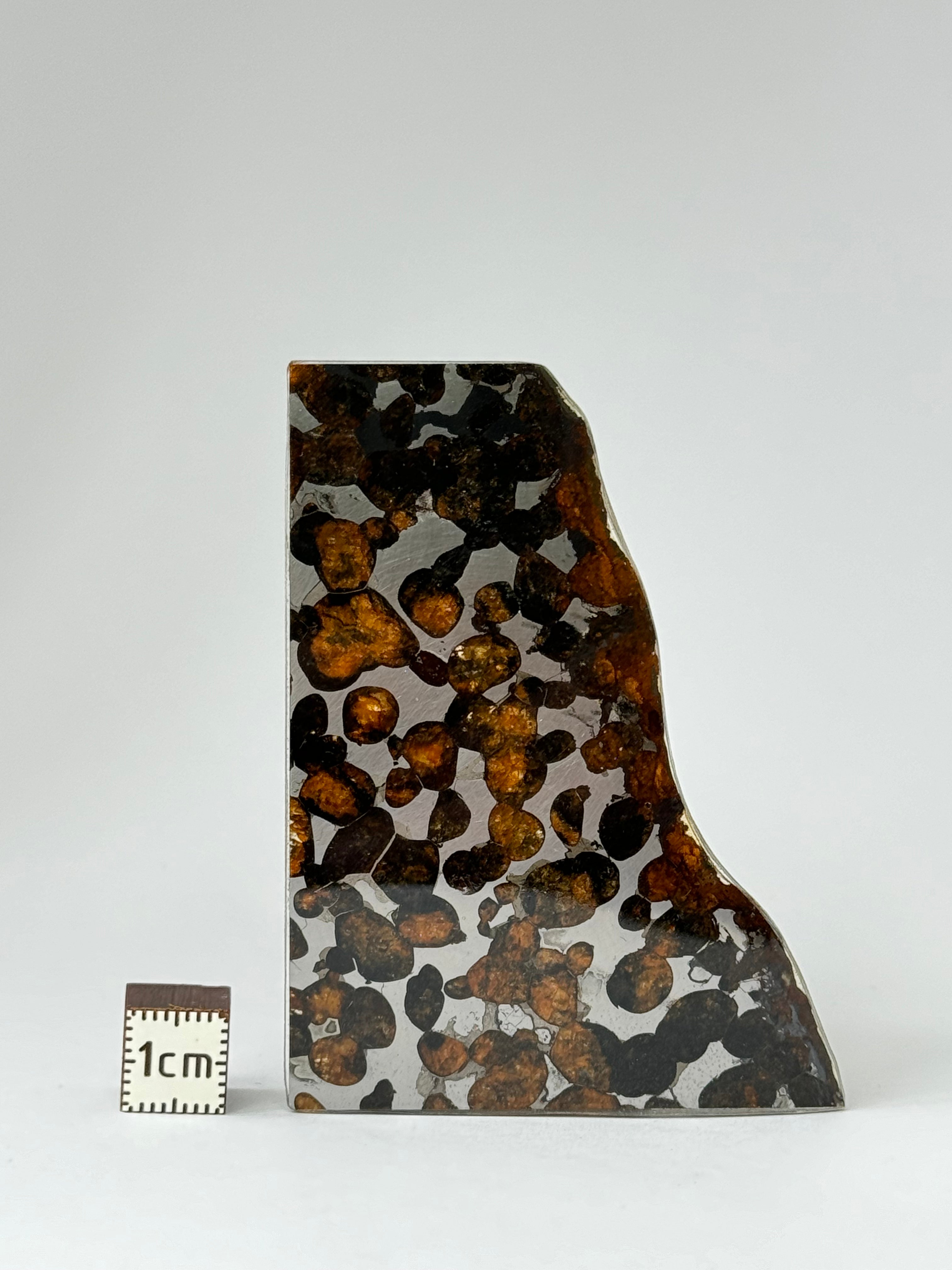 Sericho meteorite, Kenya. 12,12 grams.