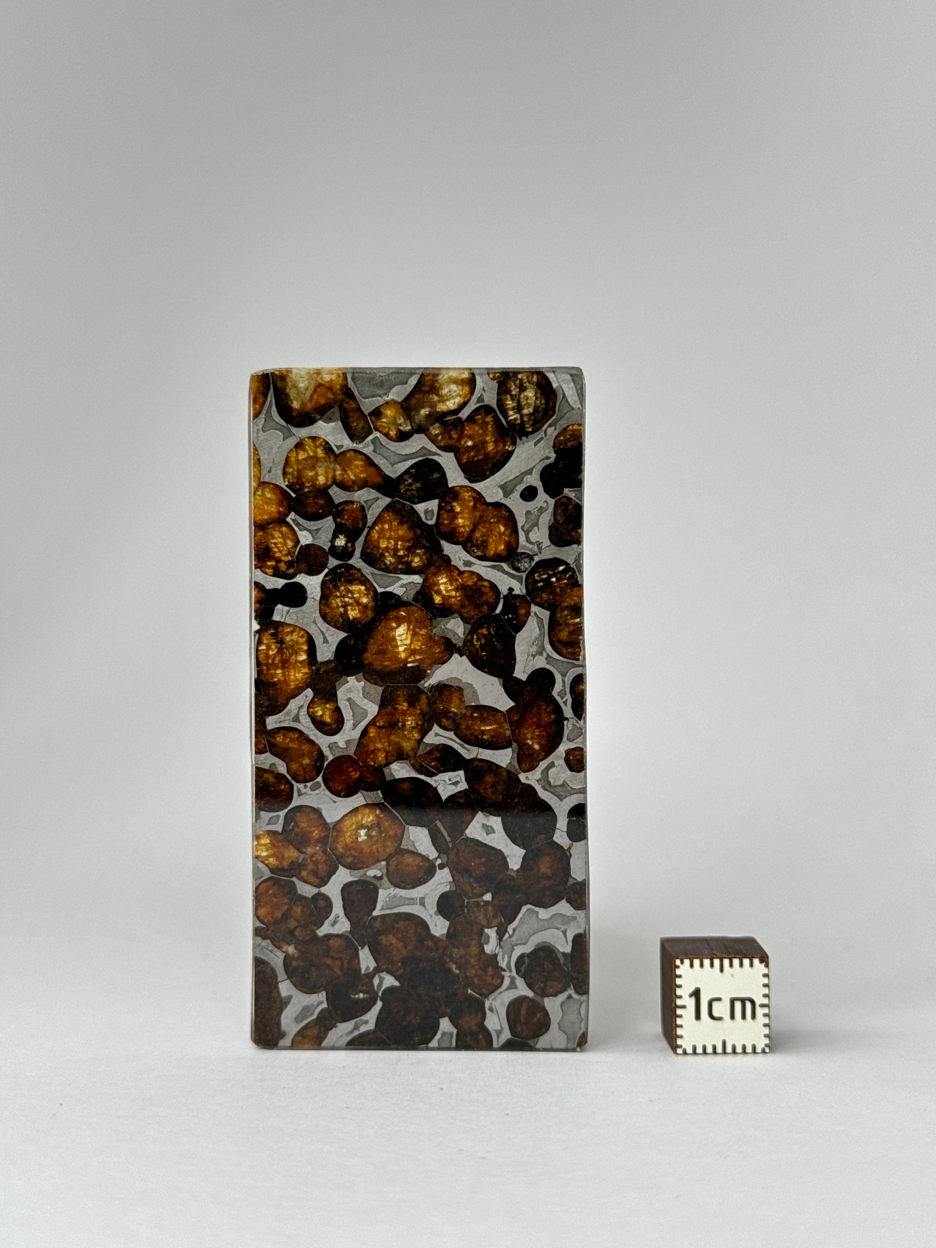 Sericho meteorite, Kenya. 11,49 grams.