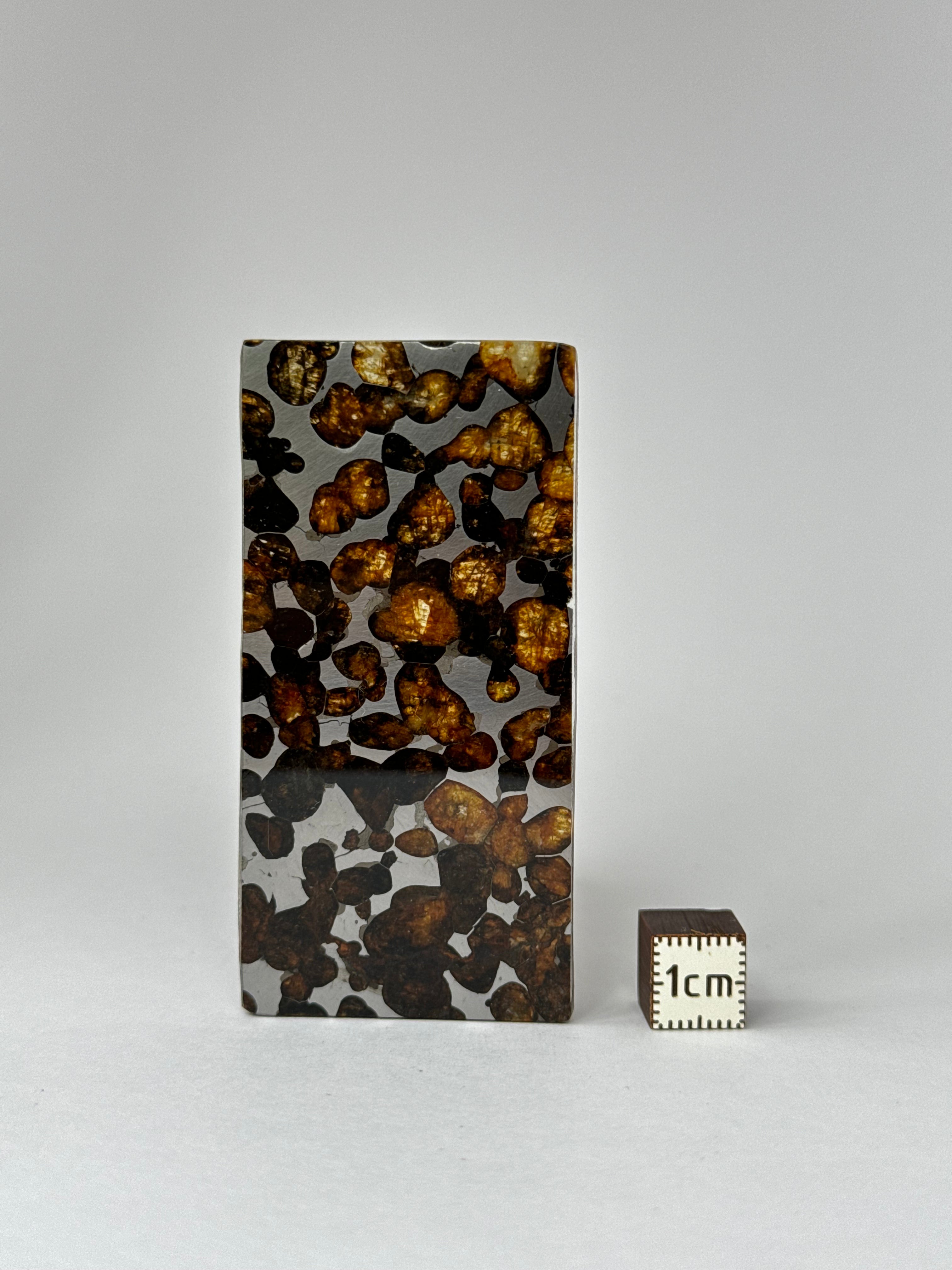 Sericho meteorite, Kenya. 11,49 grams.