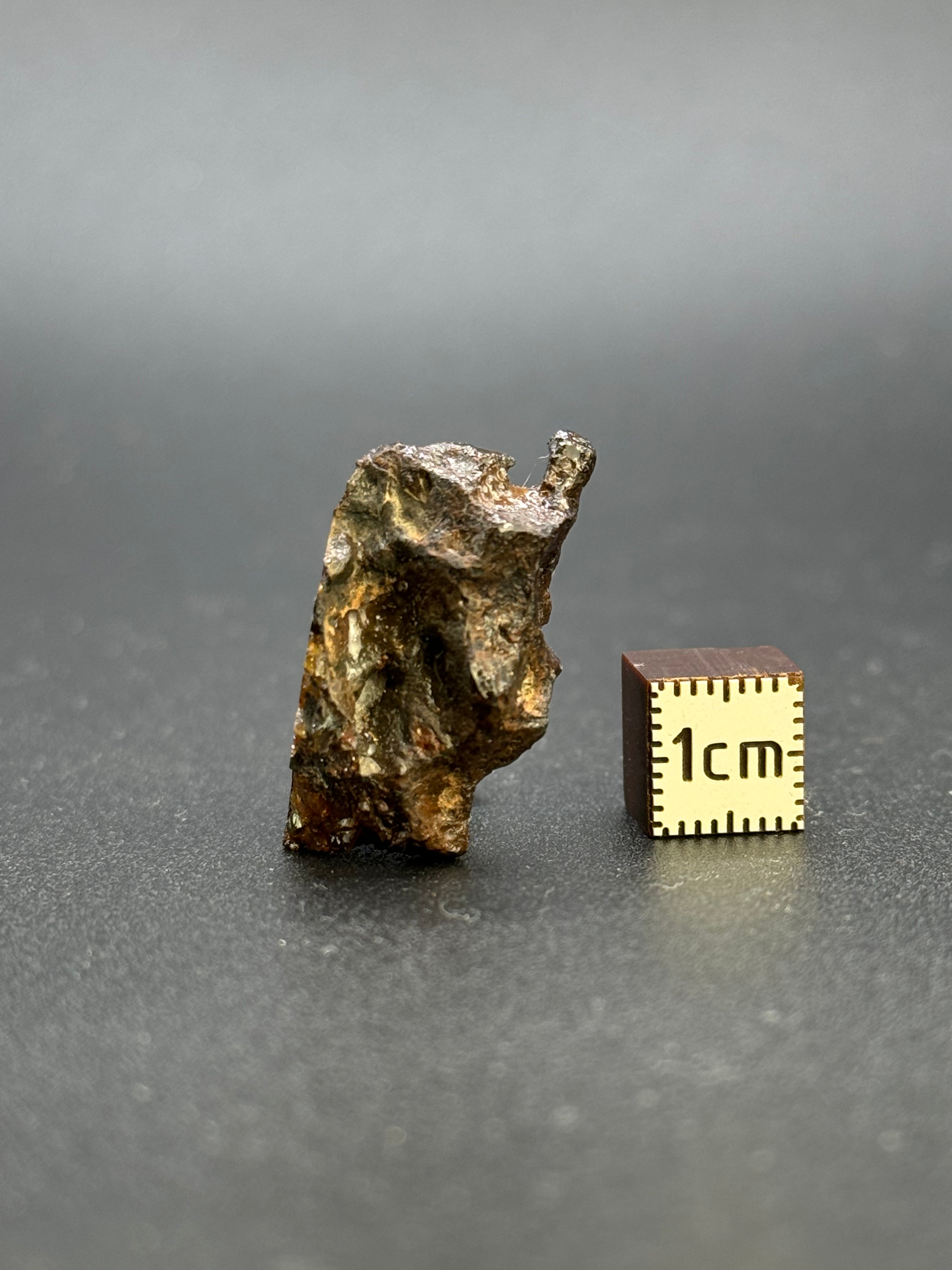Imilac Pallasite meteorite, Chile. 16,45g